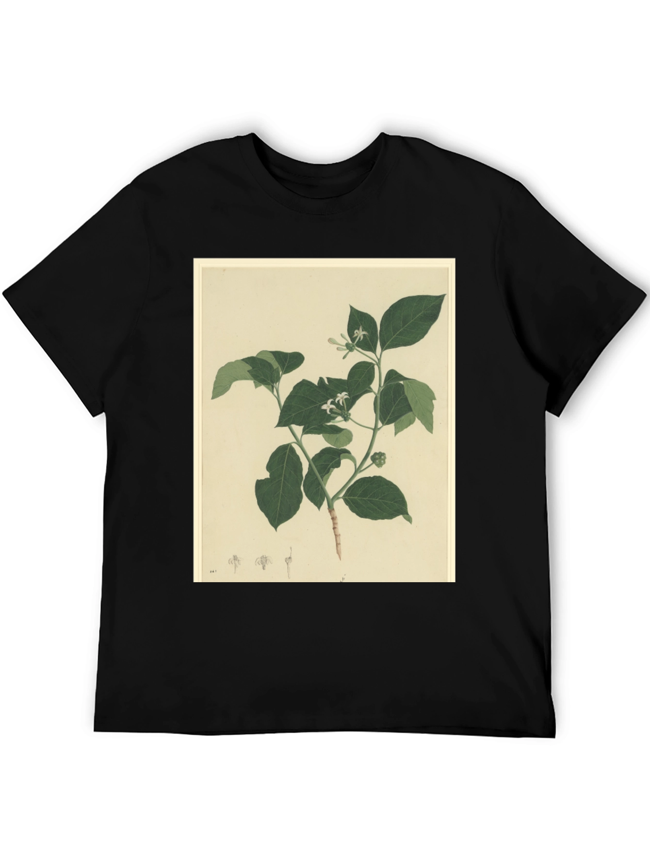 Black Botanical Print Black T-Shirt view 5