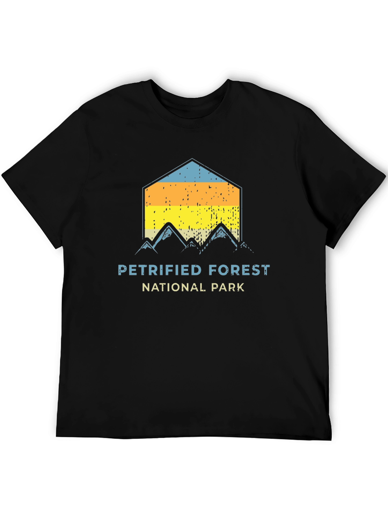 Black Petrified Forest National Park Graphic Tee view 5
