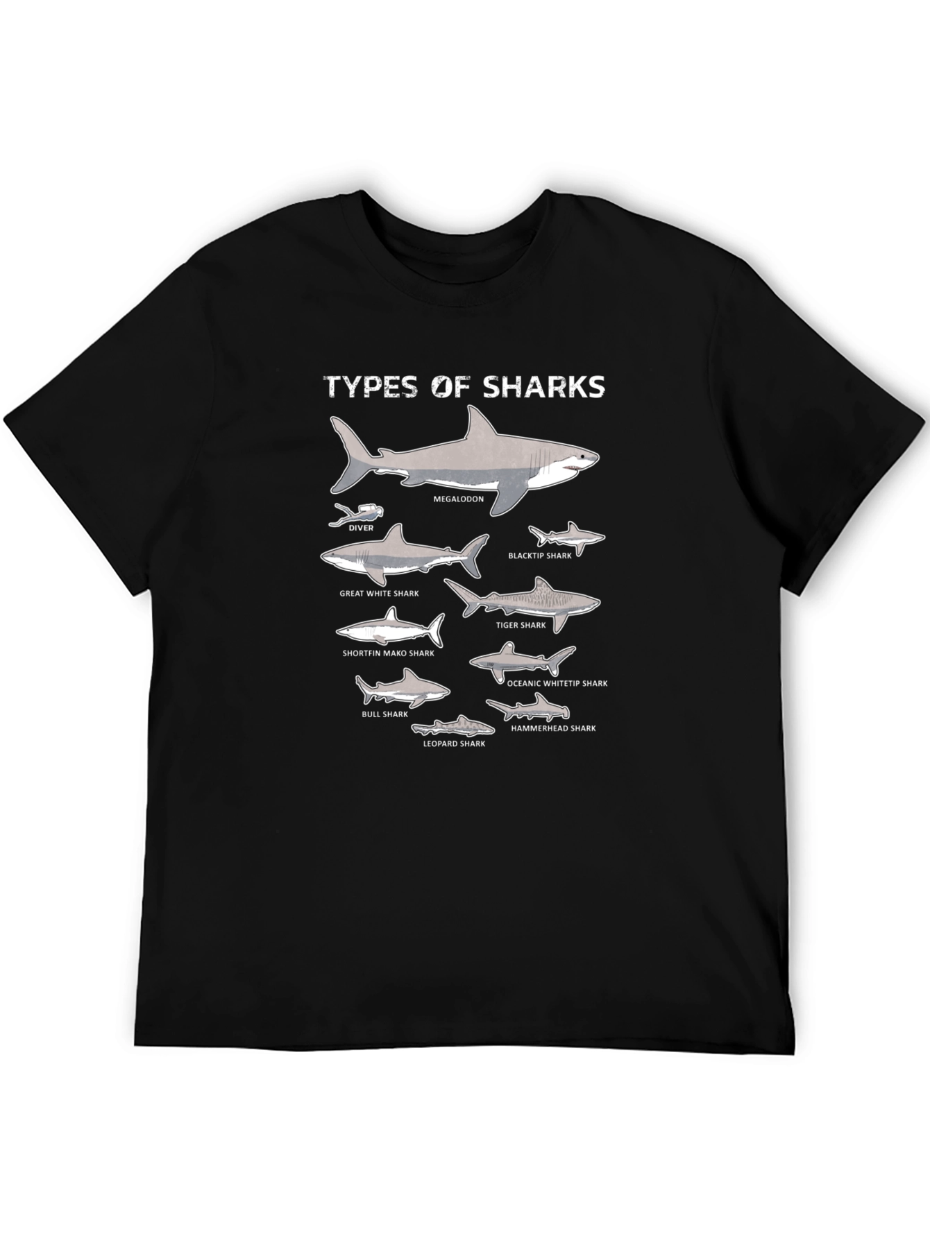 Black Types of Sharks Graphic T-Shirt view 5