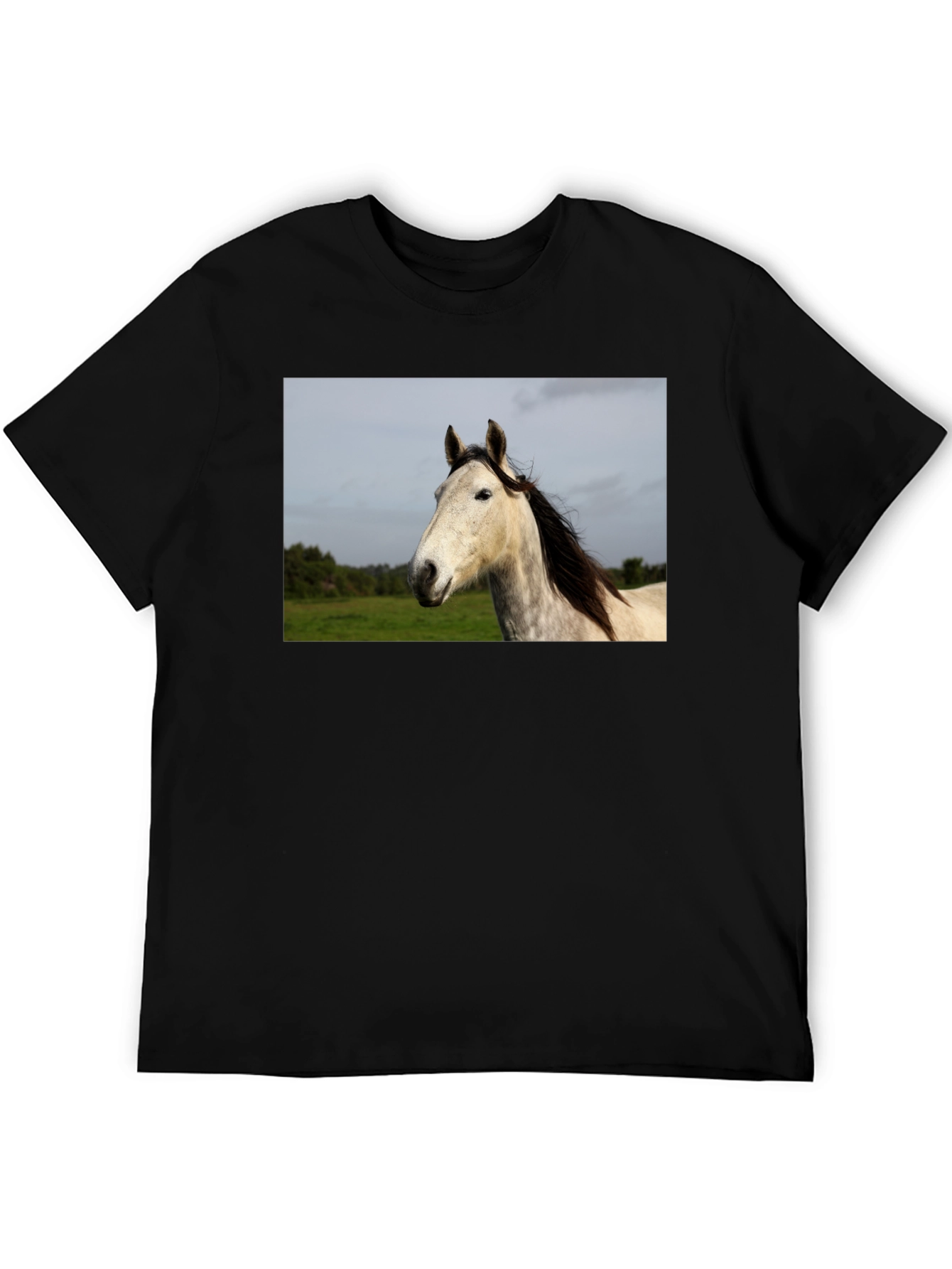 Black Horse Graphic Print Black T-Shirt view 5