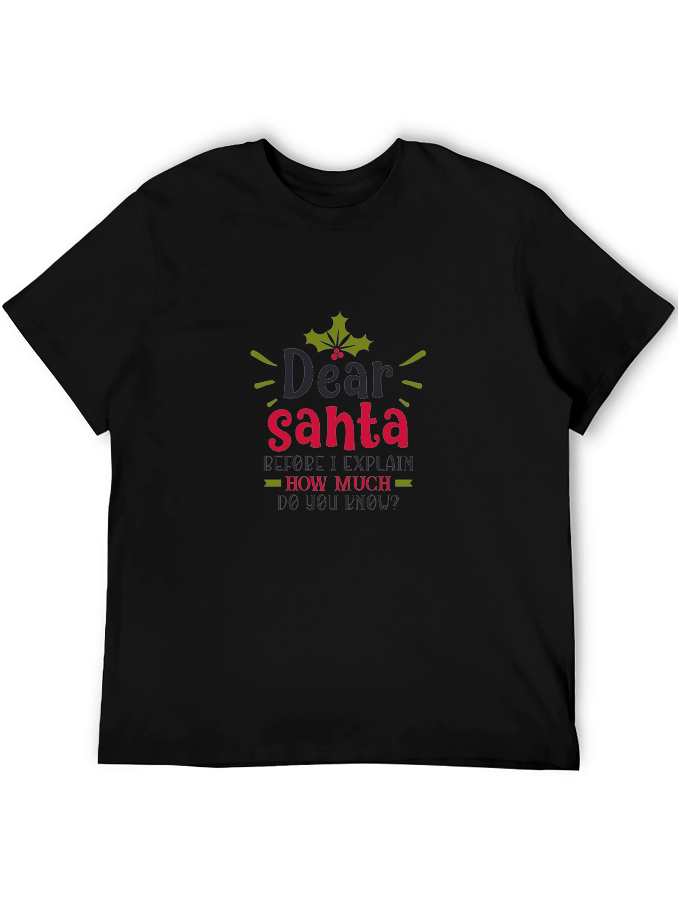 Dear Santa Funny Holiday Tee - 5