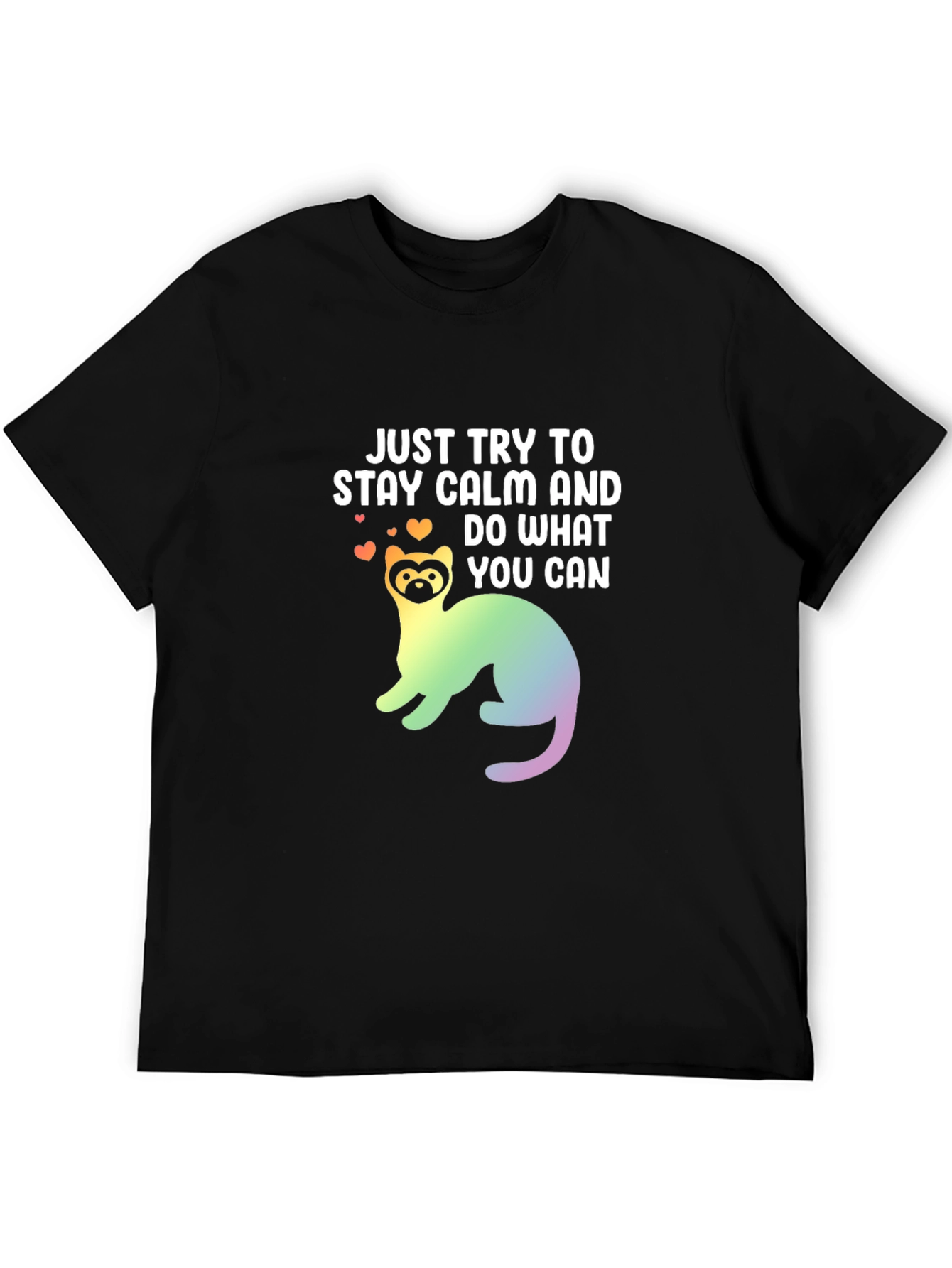 Black Stay Calm Ferret Graphic Tee view 5