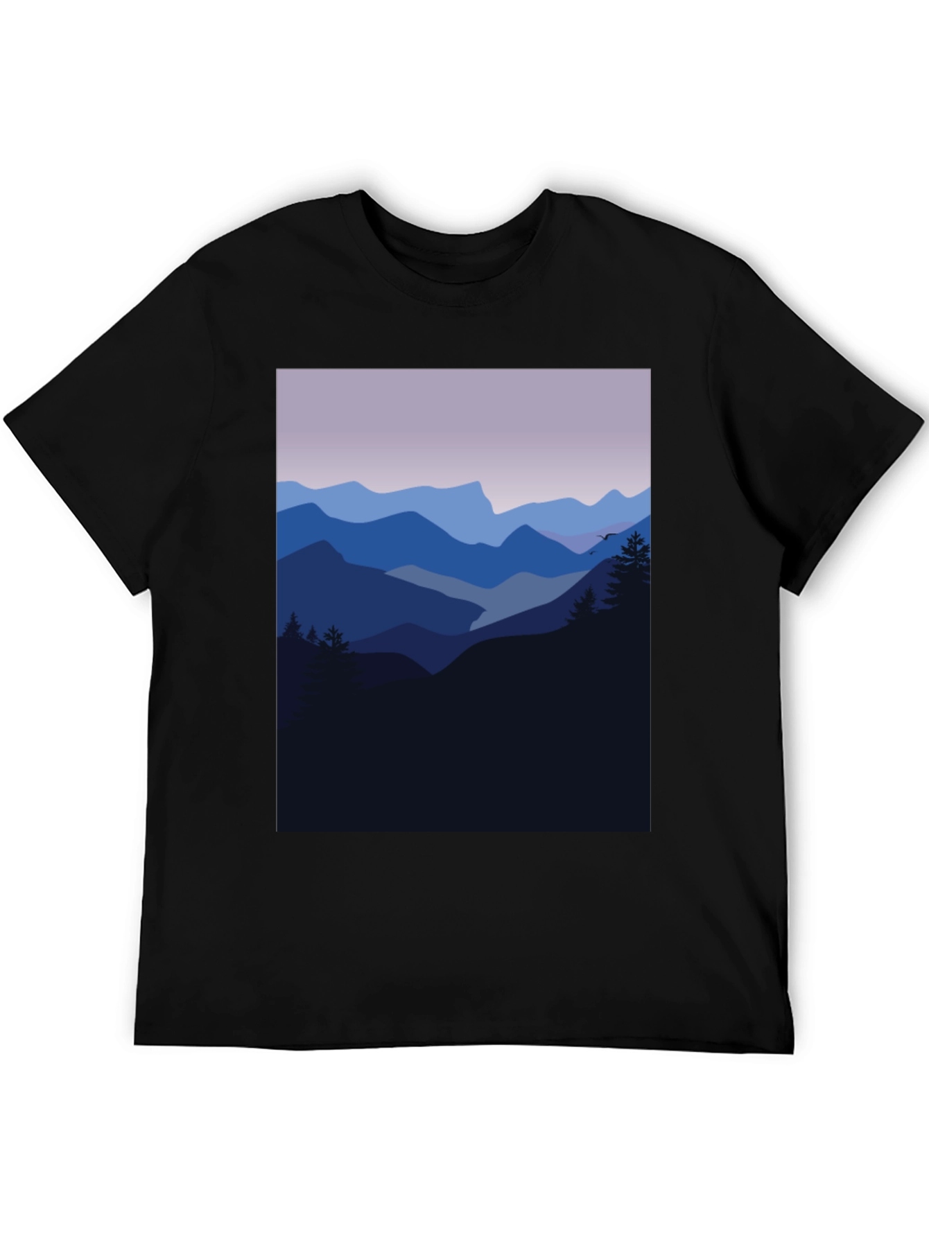 Black Mountain Vista Graphic Tee - Black view 5