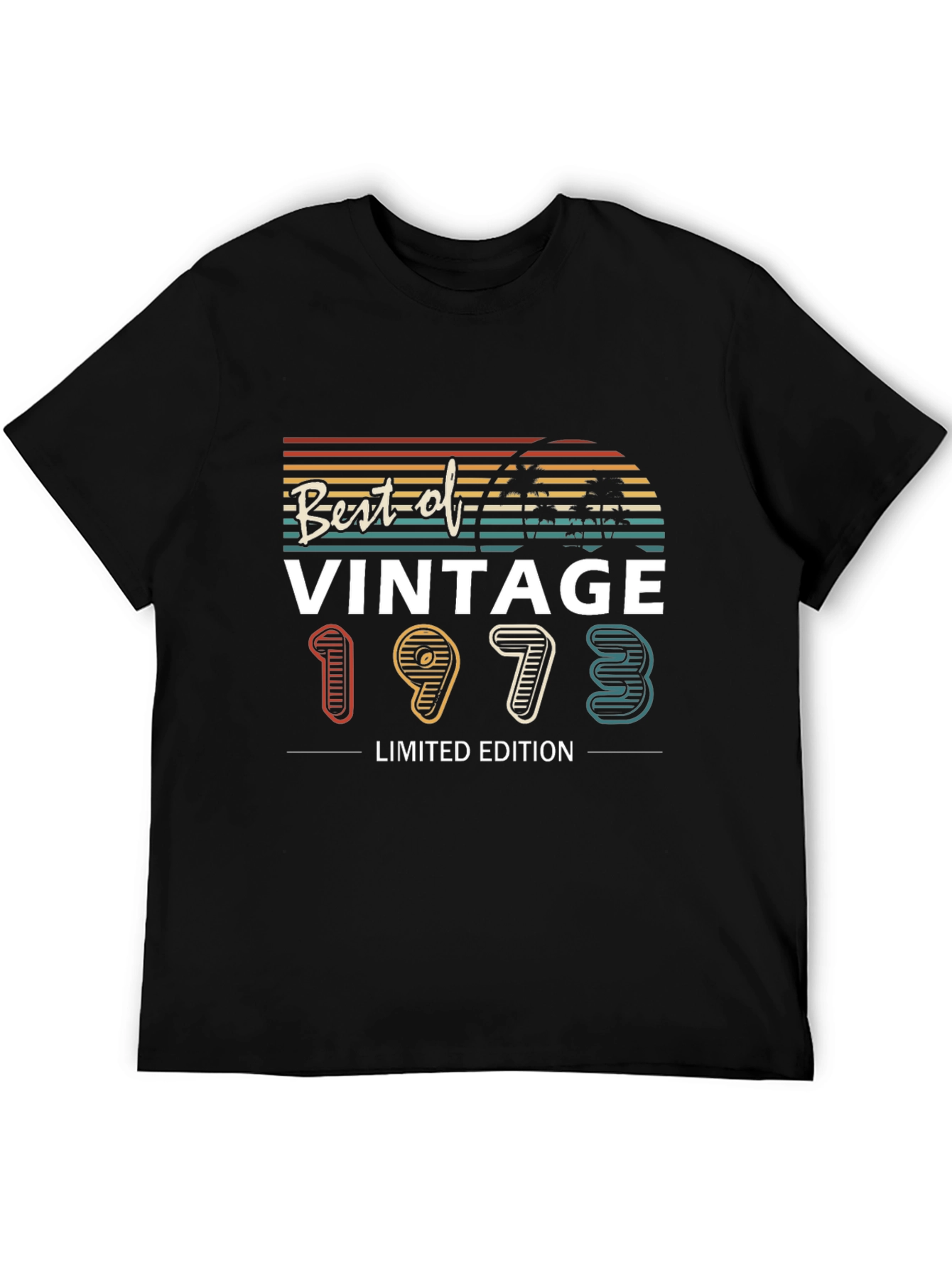Black Vintage 1973 Limited Edition T-Shirt view 5