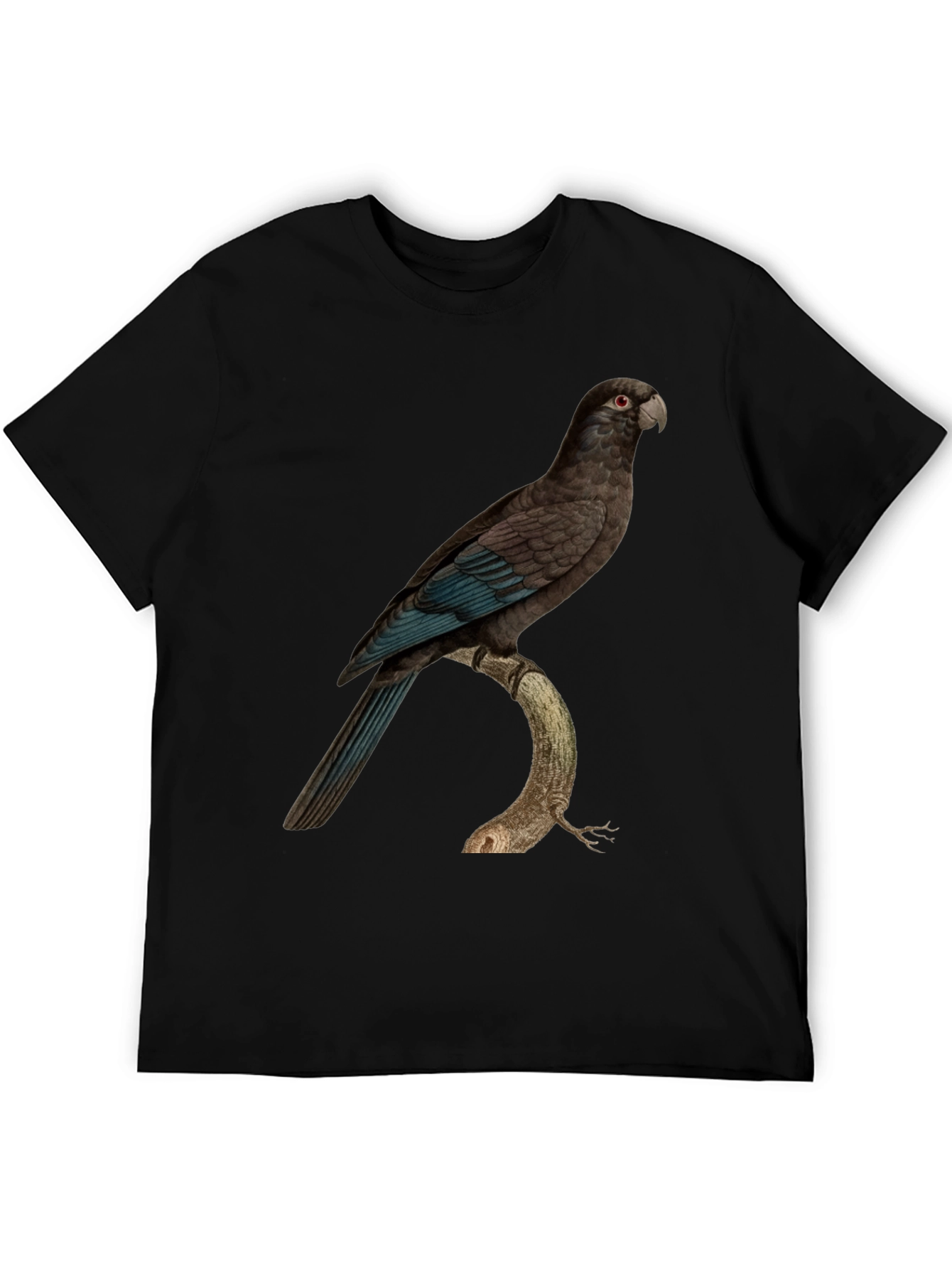 Black Parrot Graphic Print Black T-Shirt view 5