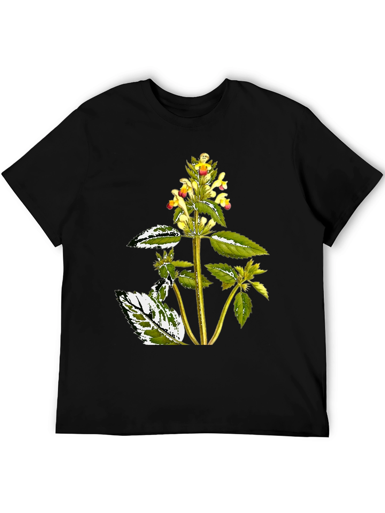 Black Botanical Graphic Black Tee view 5