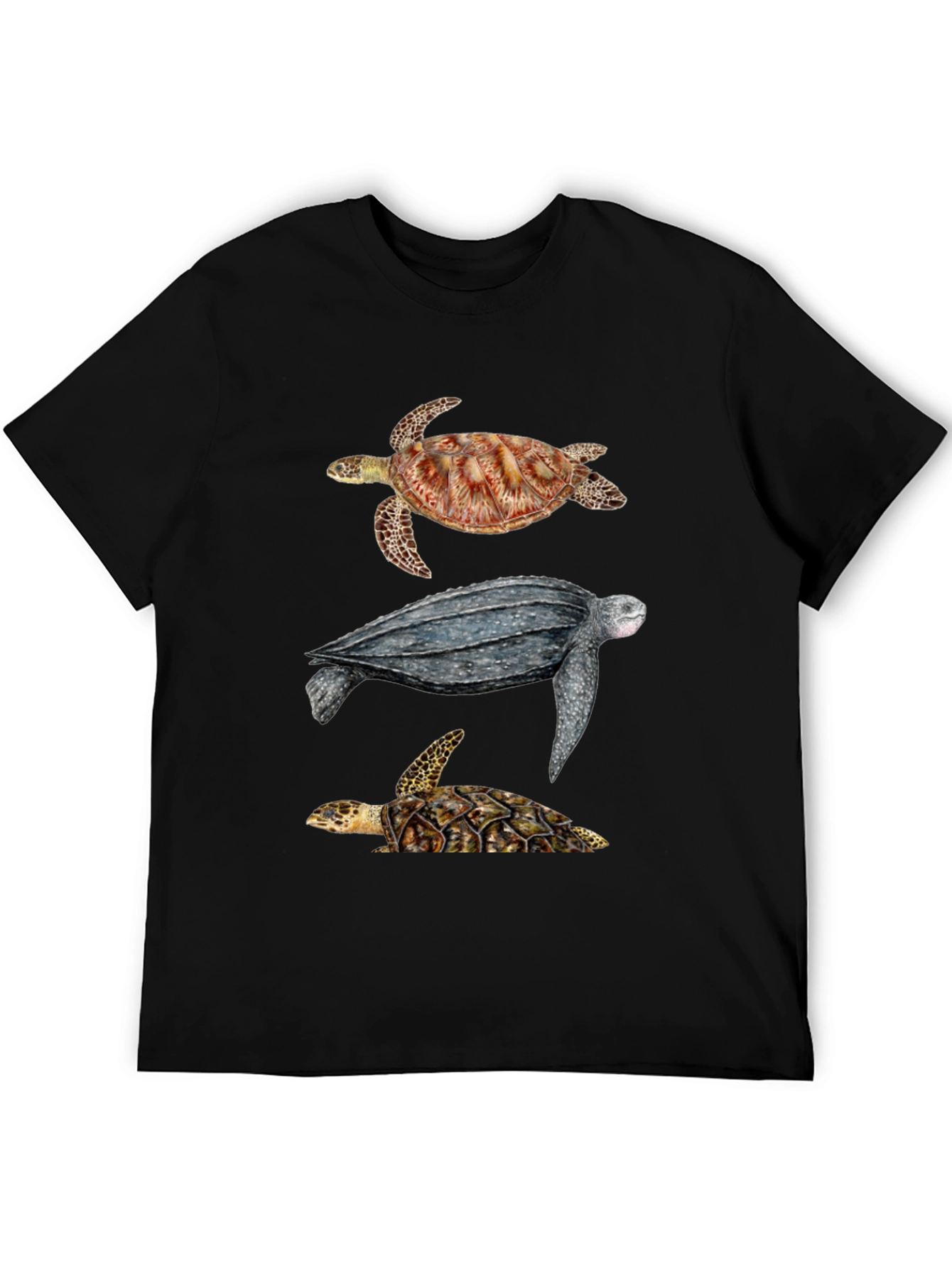 Black Turtle T-Shirt - Sea Life Graphic Tee view 5