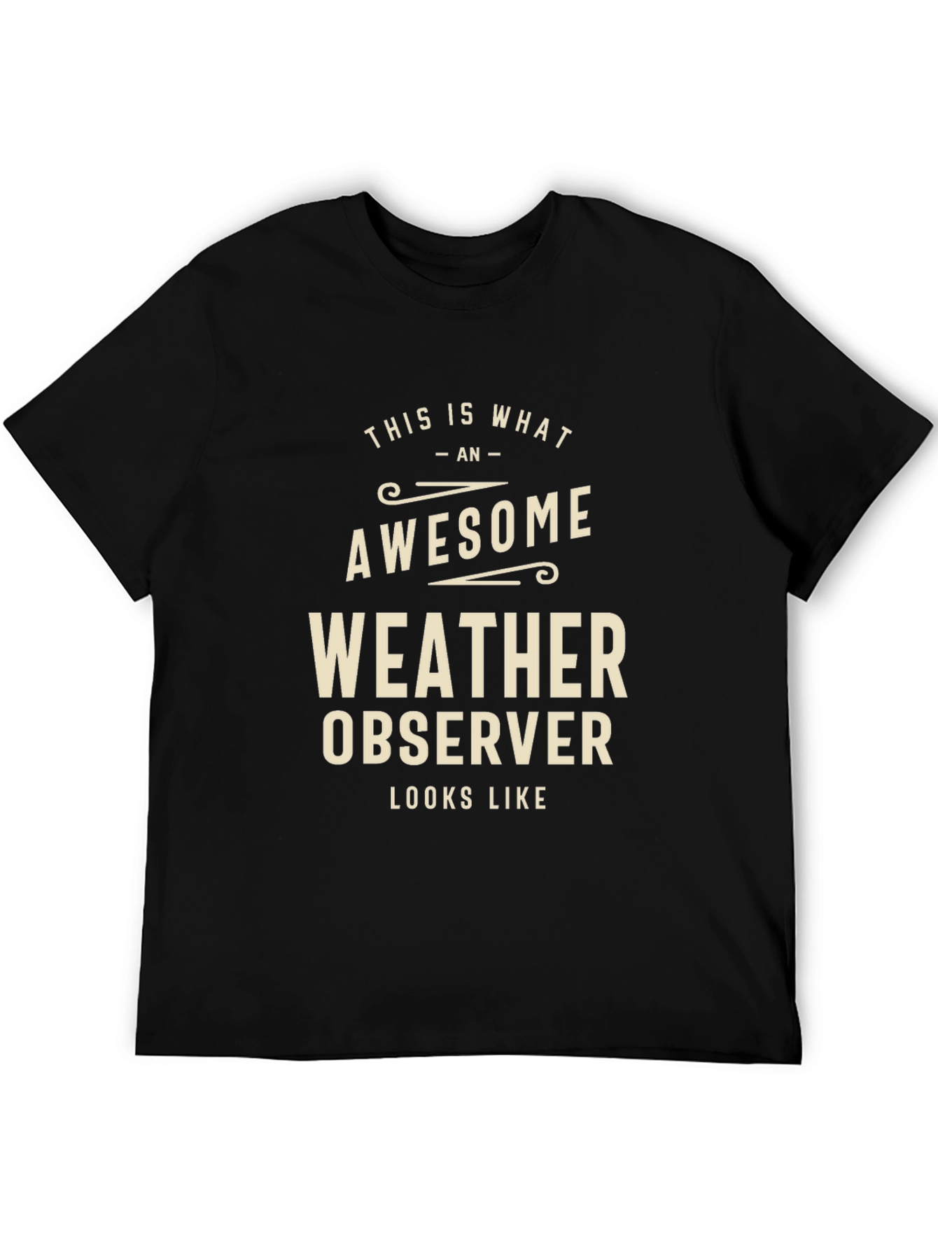 Black Awesome Weather Observer Graphic T-Shirt view 5