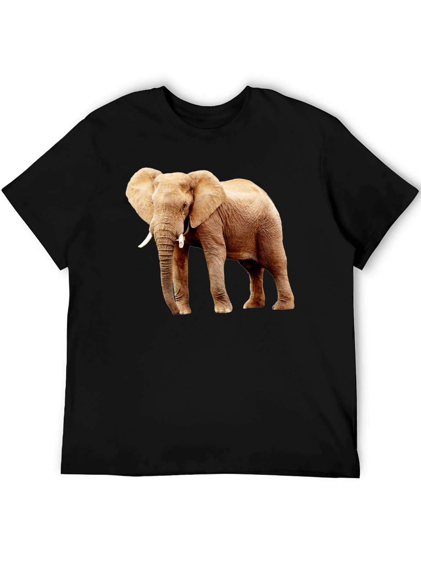 Black Elephant Graphic Print T-Shirt view 5