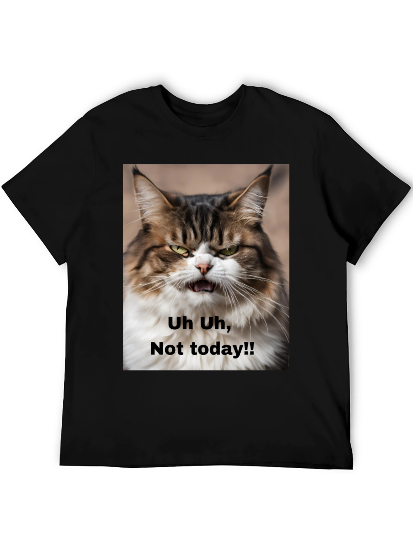 Black Grumpy Cat T-Shirt - "Not Today!" Unisex Black Tee view 5