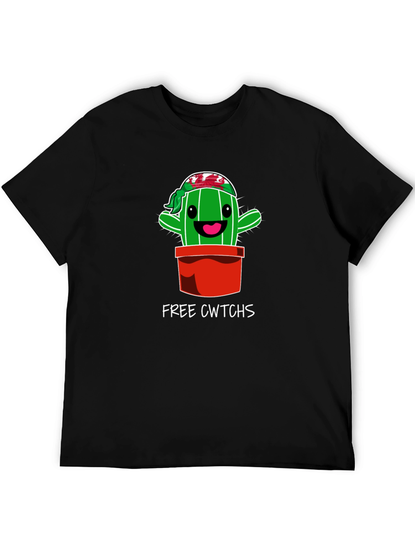 Black Cwtchs Cactus Crew Neck Tee view 5