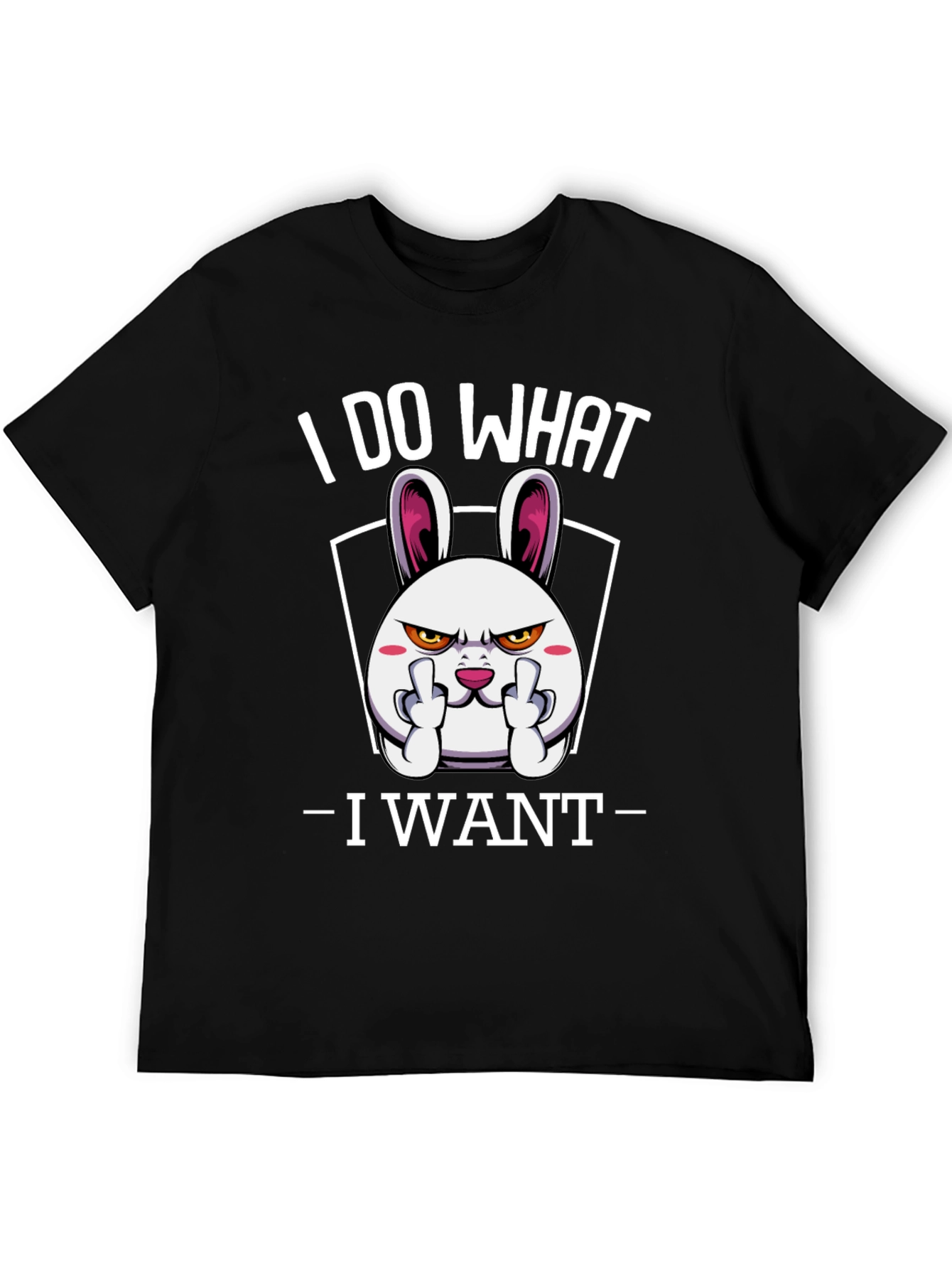 Black I DO WHAT I WANT T-Shirt view 5