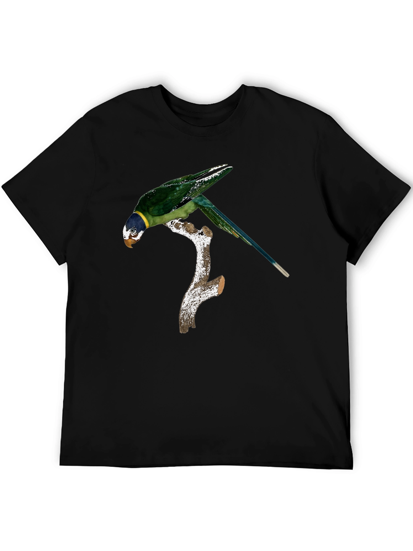 Black Parrot on Branch Graphic Tee - Black Cotton Blend Shirt view 5