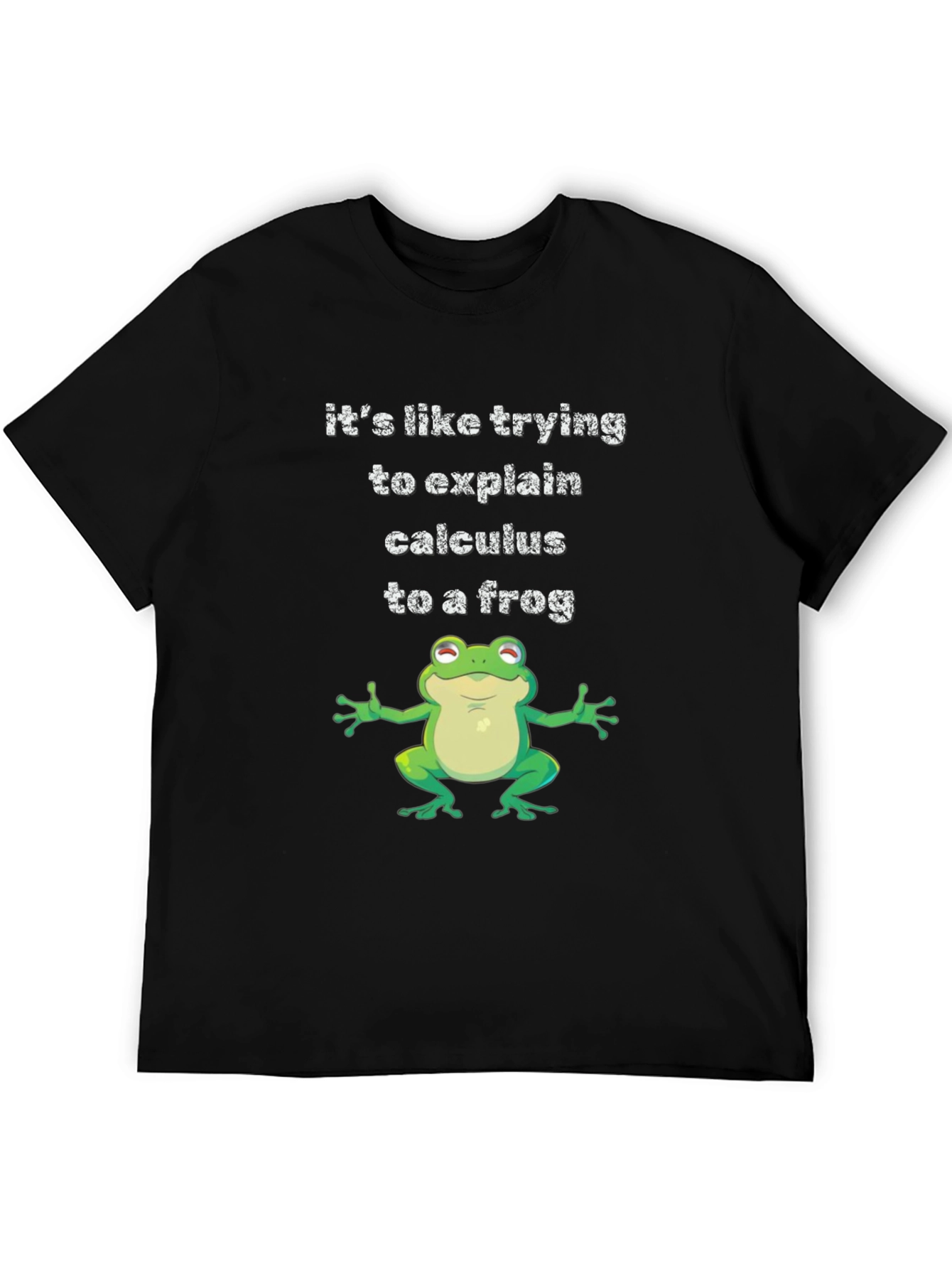 Black Funny Calculus Frog Graphic Tee - Black Cotton T-Shirt view 5
