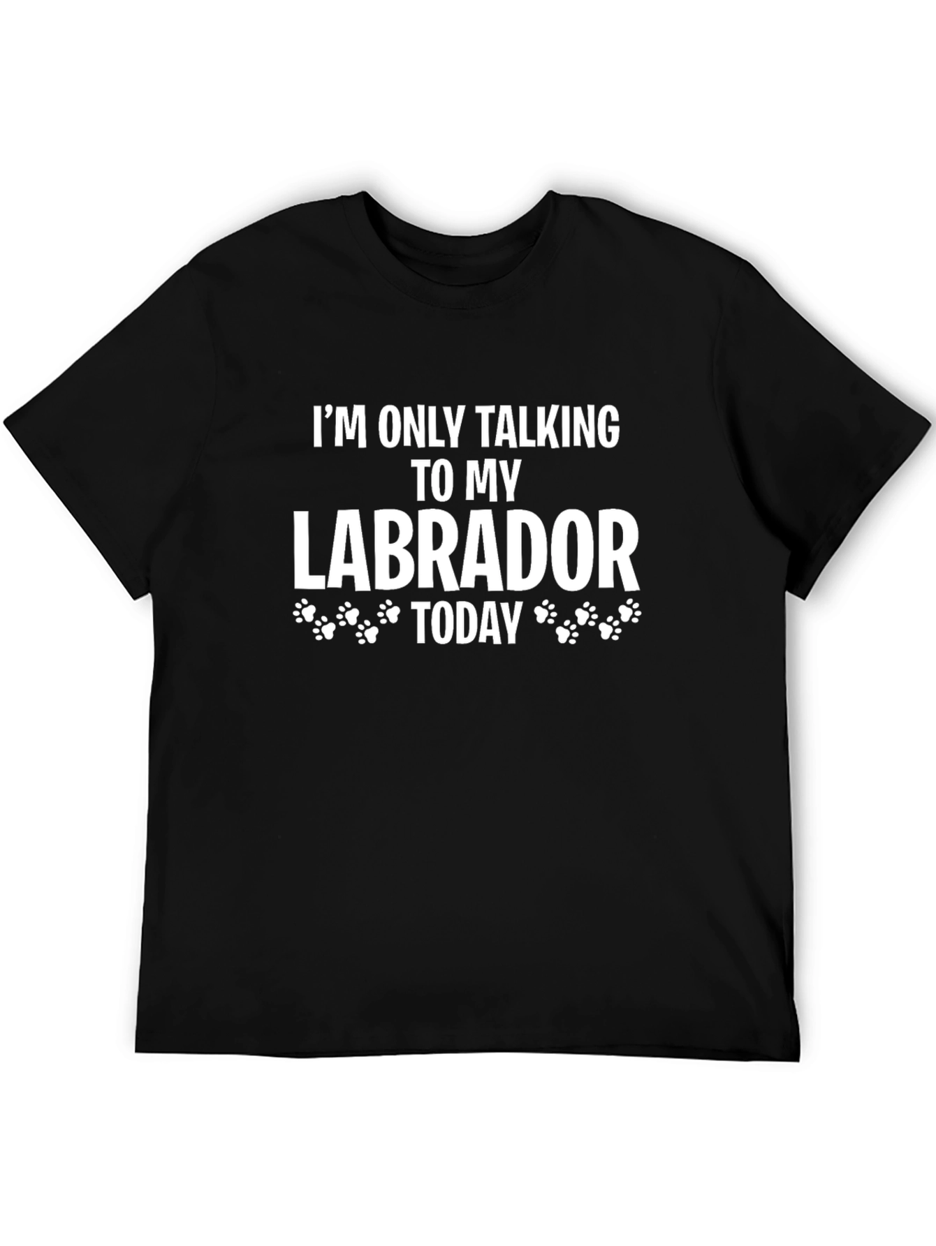 Labrador Lover T-Shirt - I'm Only Talking To My Labrador Today - 5
