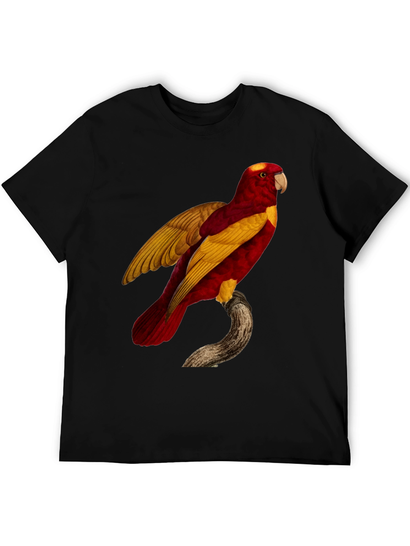 Black Exotic Parrot Graphic Tee view 5