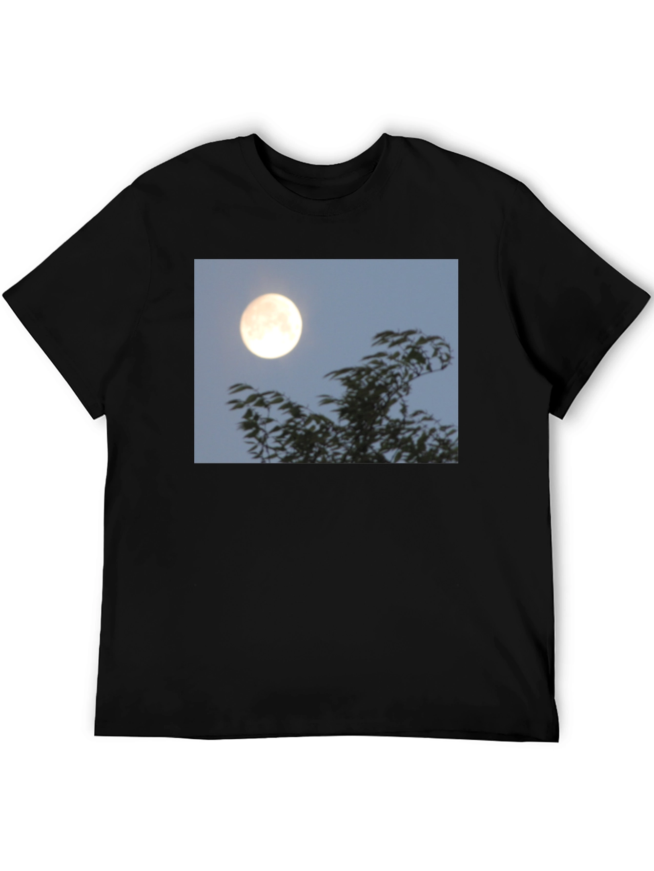 Black Moonlit Trees Graphic Tee - Black Cotton T-Shirt view 5
