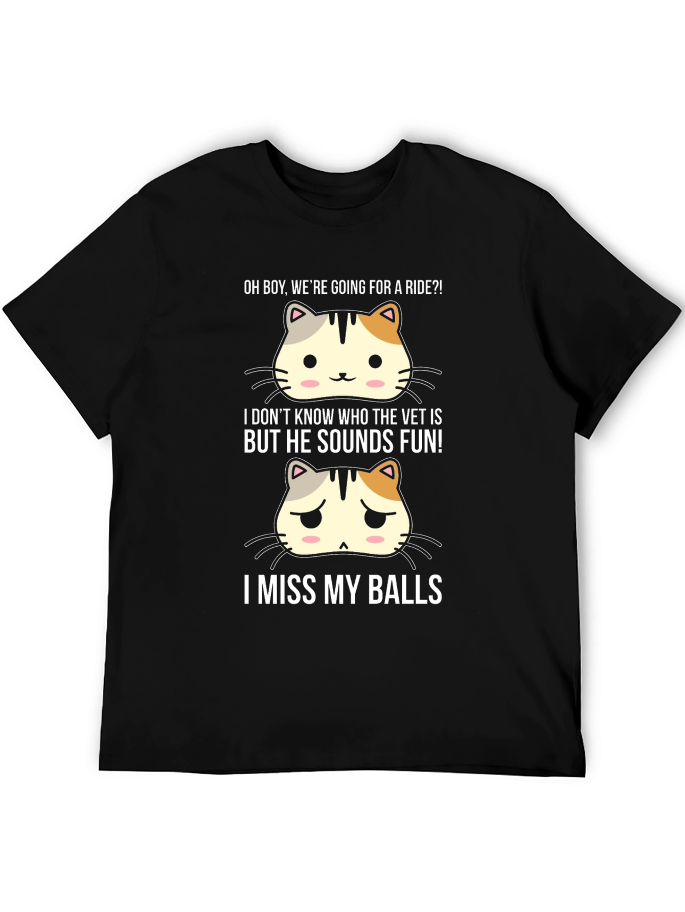 Black Funny Cat Neutering T-Shirt - Ride, Vet, and Missing Balls Humor view 5