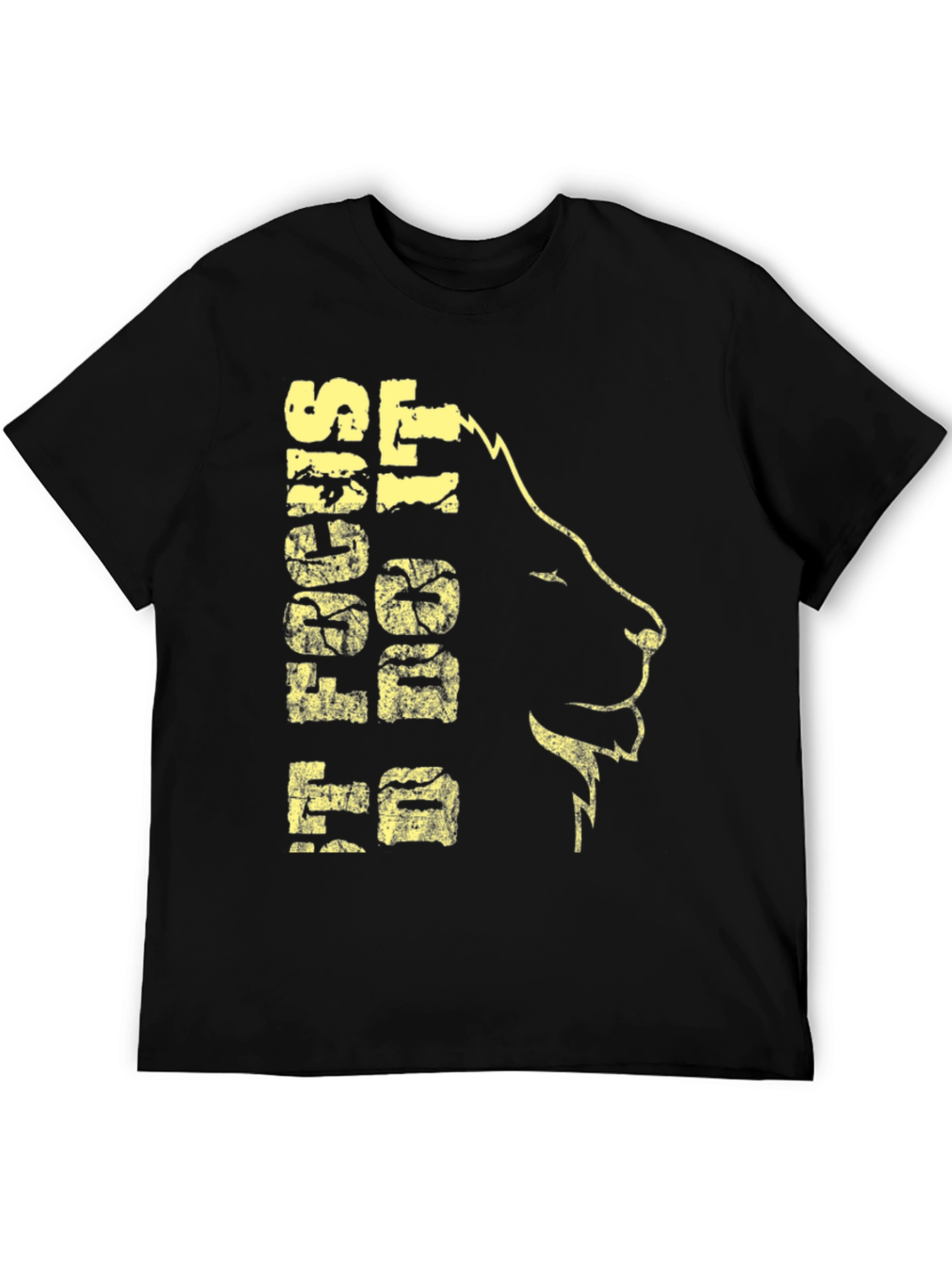 Black Lion Graphic Print T-Shirt - Black view 5