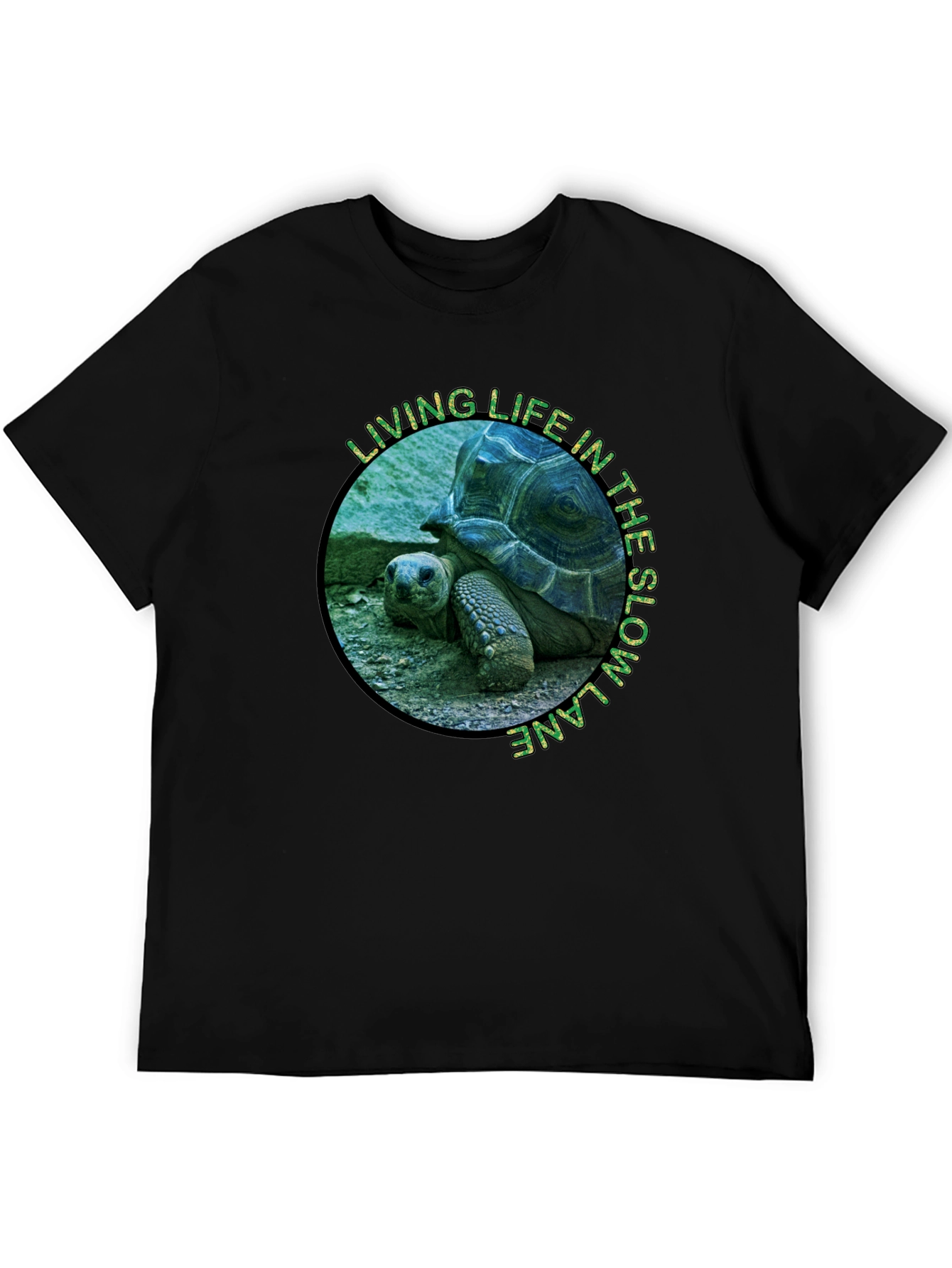 Black Slow Lane Turtle Graphic T-Shirt view 5