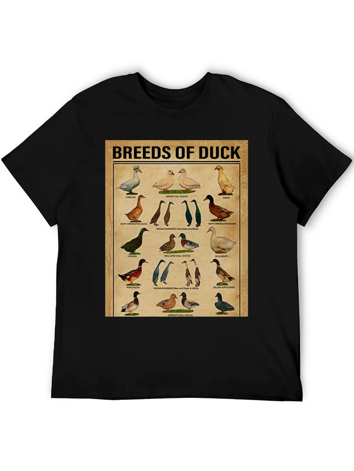 Black Breeds of Duck T-Shirt - Bird Lover Gift view 5