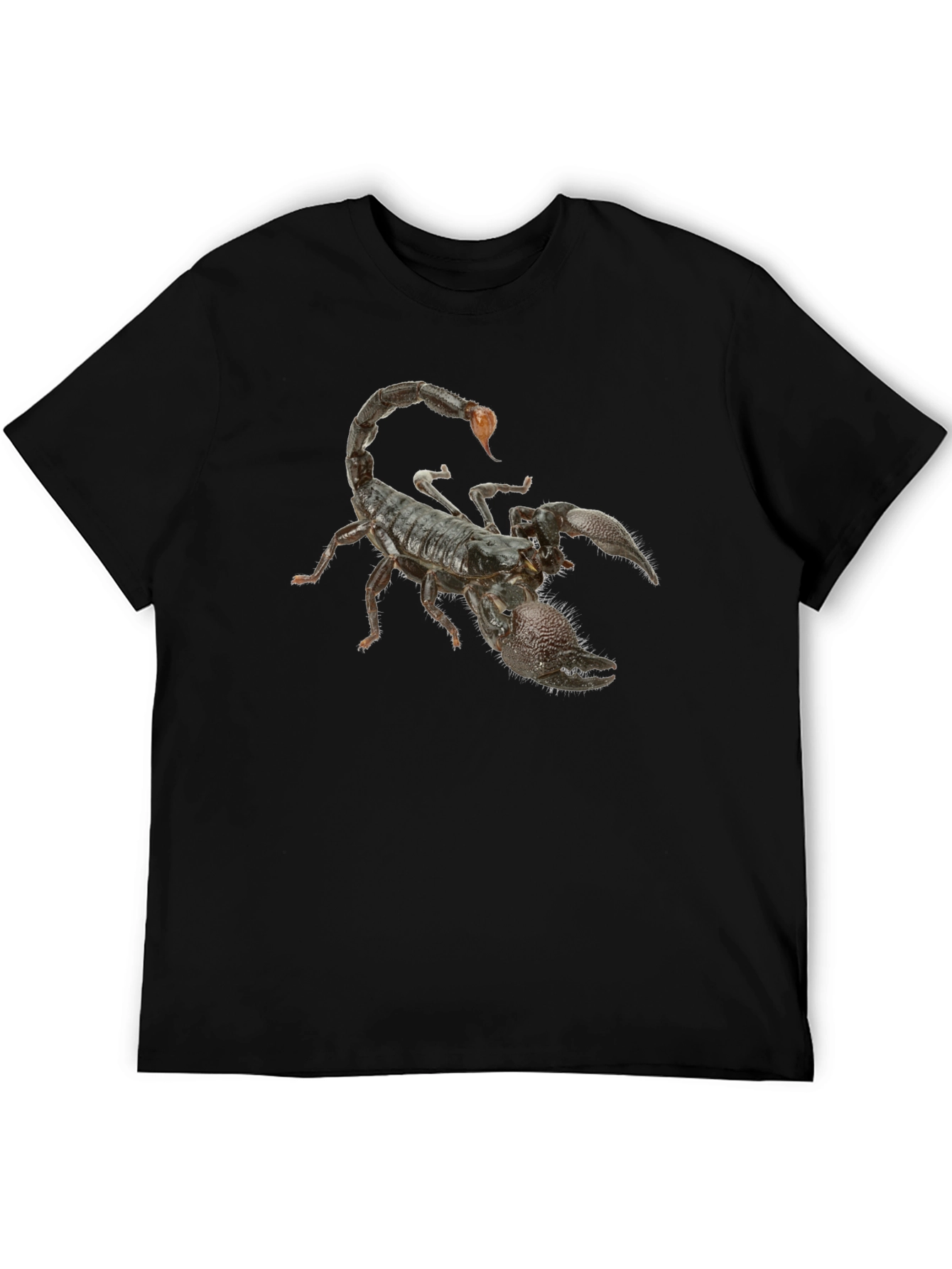 Black Scorpion Graphic Black T-Shirt view 5