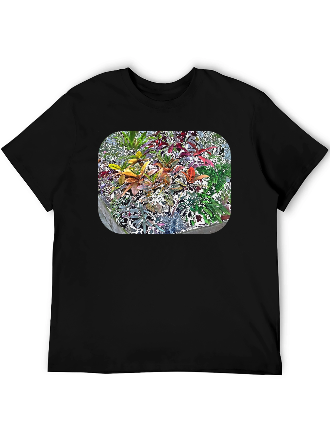 Black Vibrant Croton Plant Graphic Tee view 5