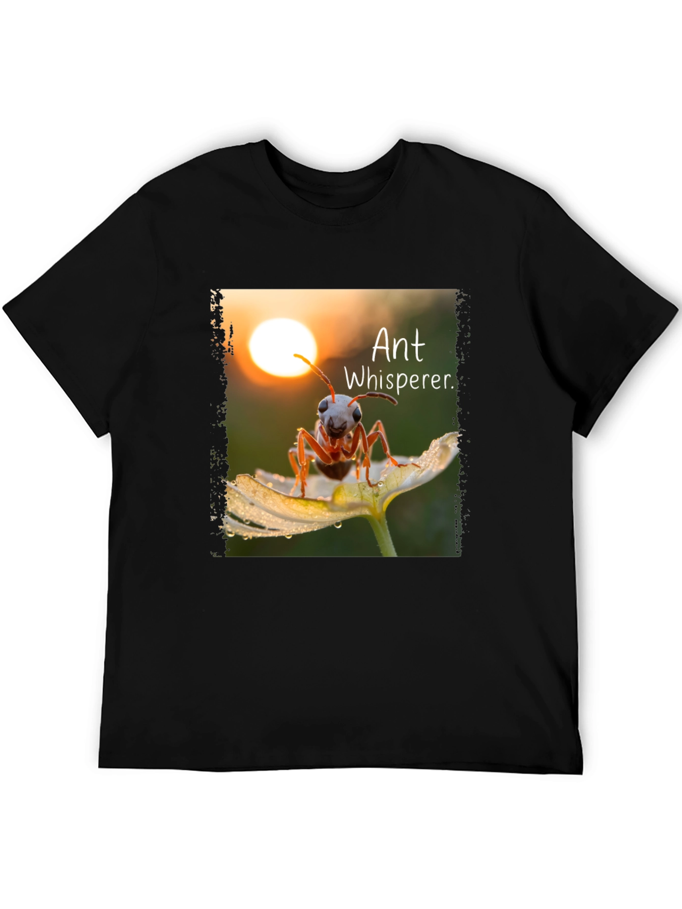 Black Ant Whisperer Graphic T-Shirt view 5