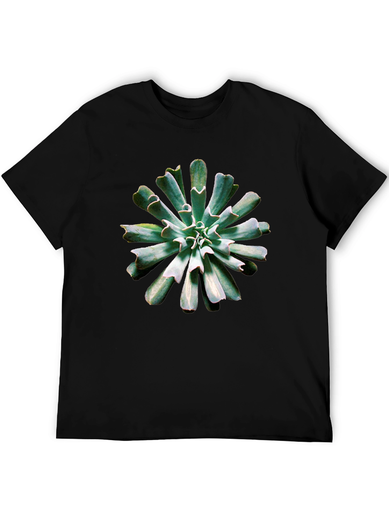 Black Succulent Print Black T-Shirt view 5