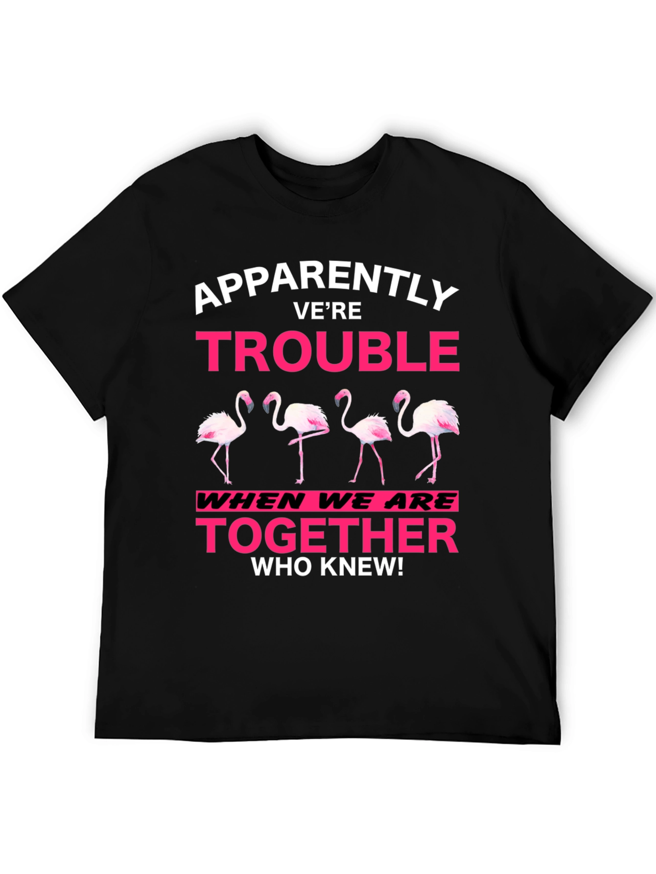 Black Funny Flamingo Trouble Graphic T-Shirt view 5