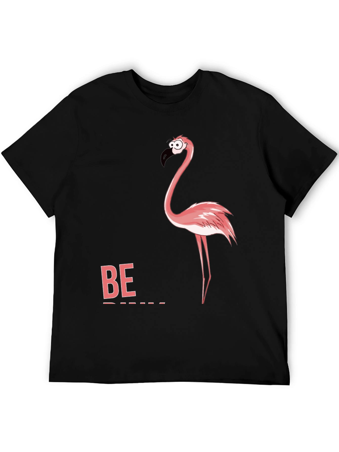 Black Funny Flamingo Graphic Tee - "Be" Shirt view 5
