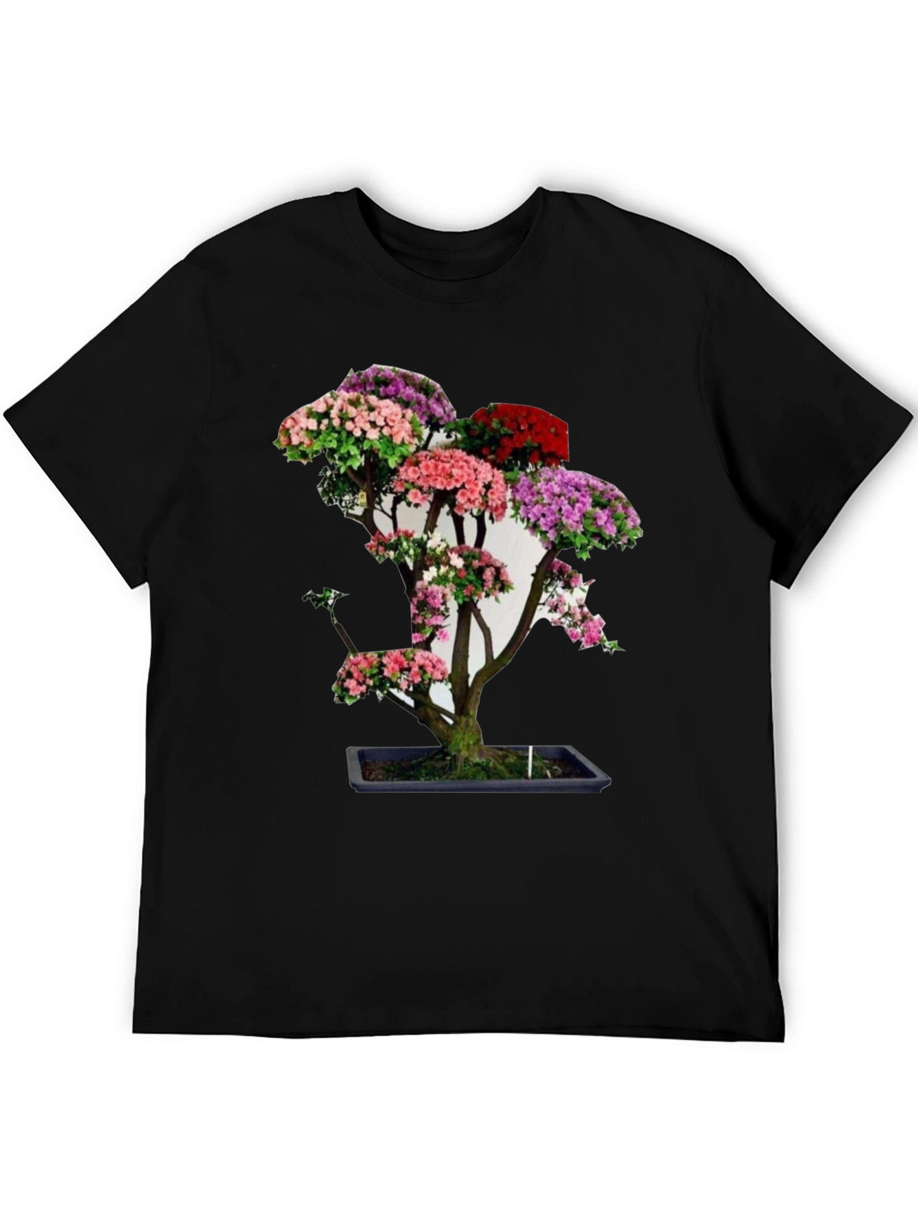 Black Bonsai Tree Graphic Tee - Unique Floral Design view 5