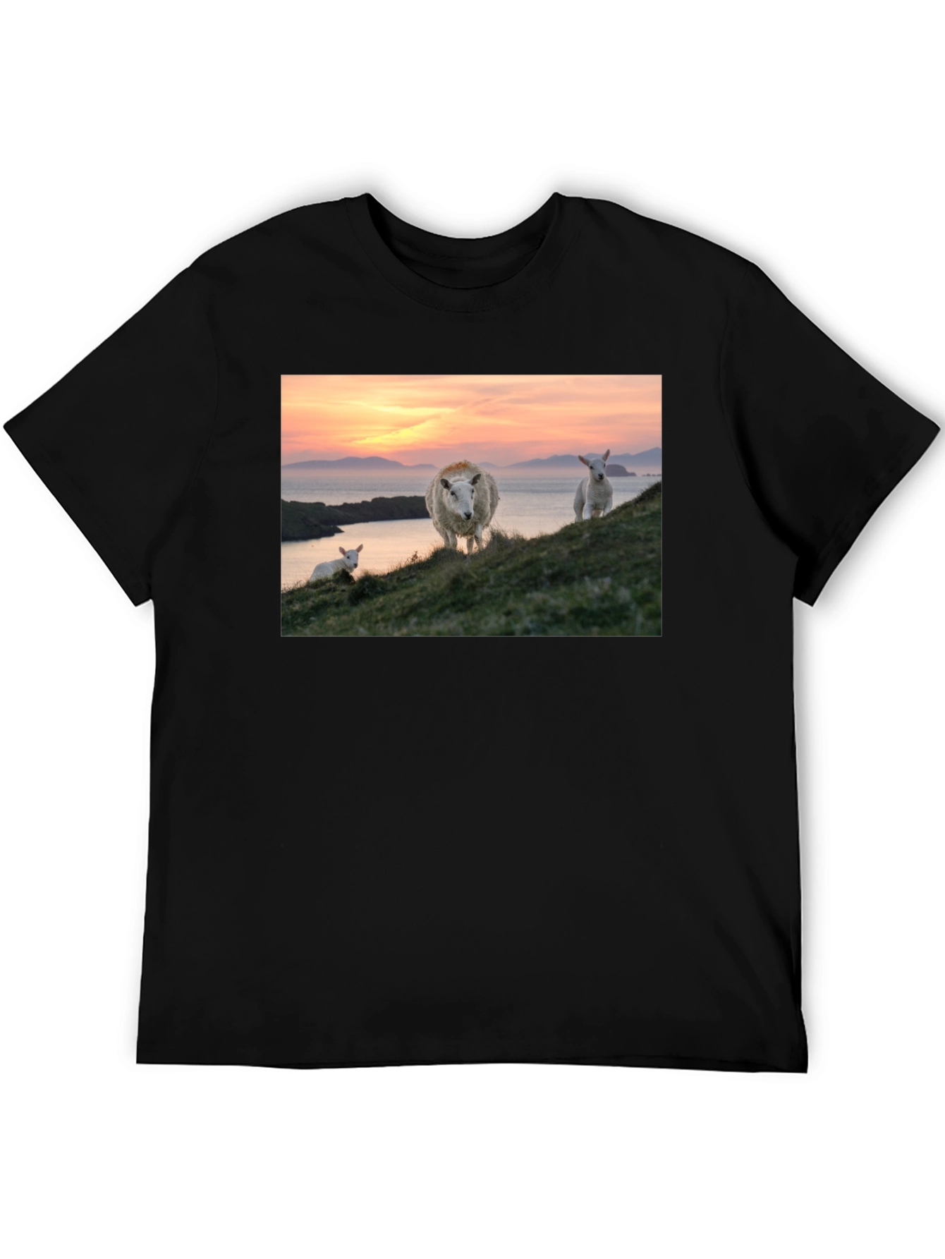 Black Scenic Sheep Graphic Tee - Black Cotton Blend view 5