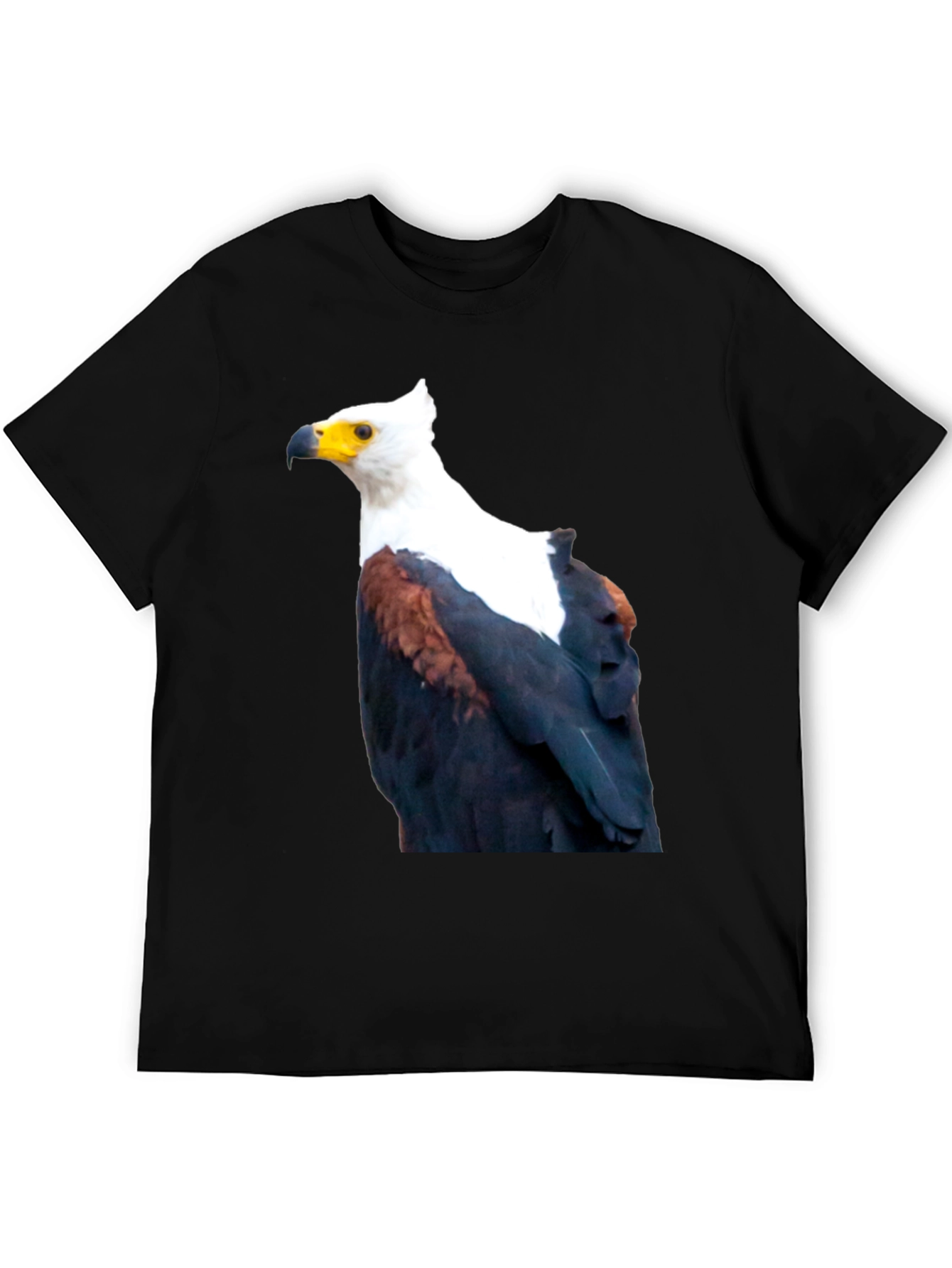 Black Eagle Graphic Tee - Cool Bird Print view 5