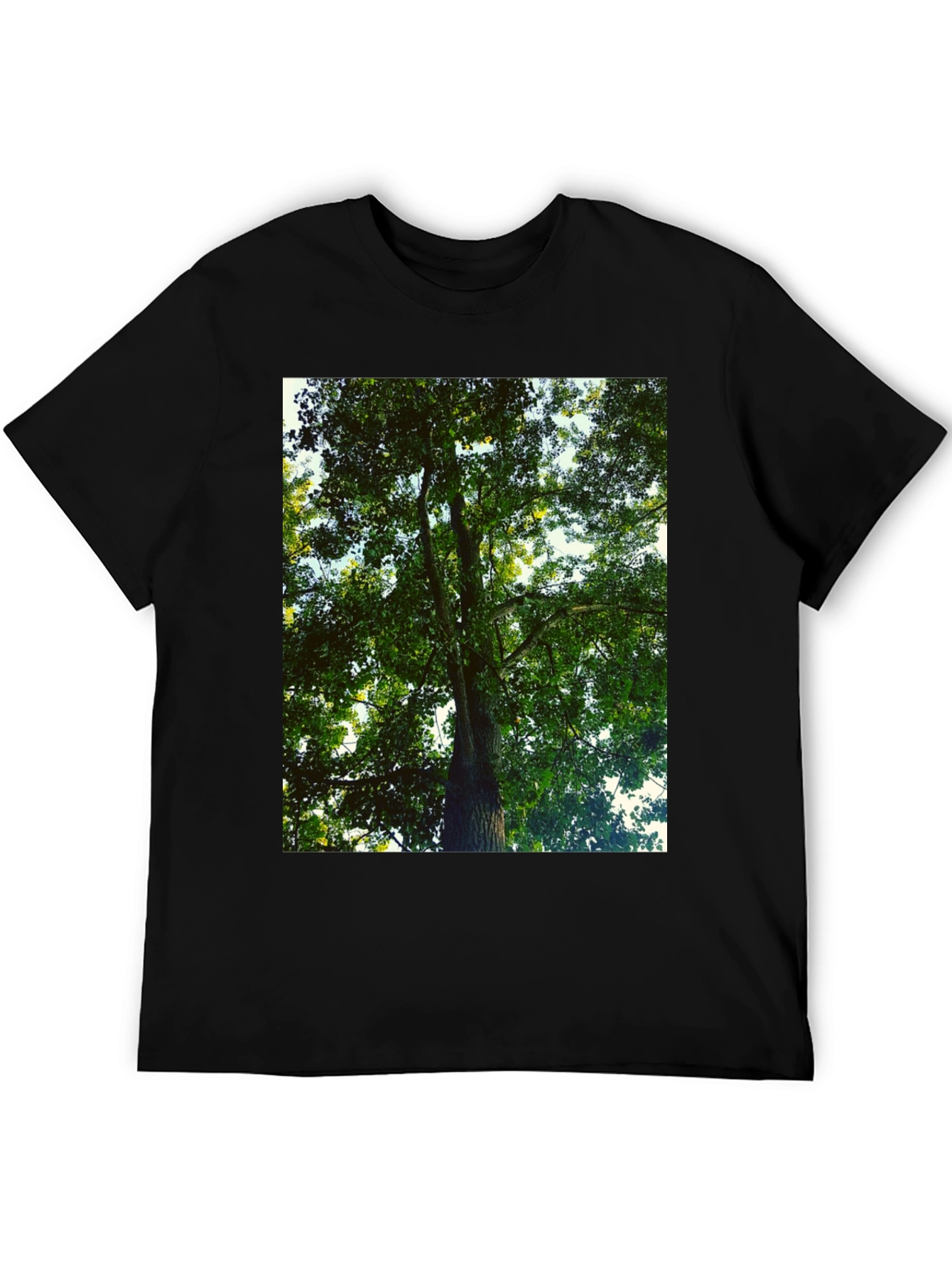 Black Nature Tree Graphic Tee - Black Cotton T-Shirt view 5