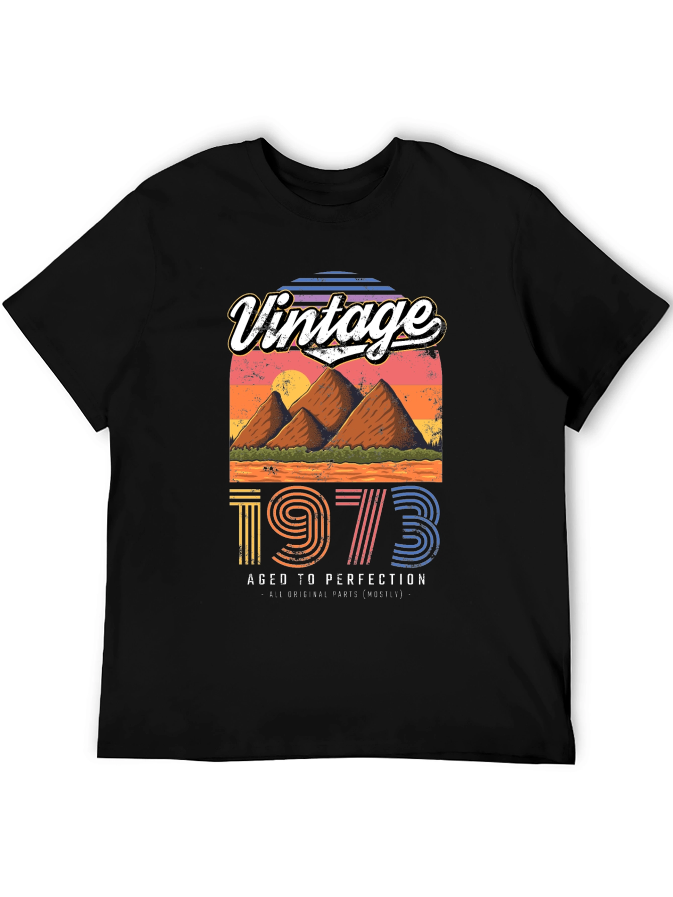 Black Vintage 1973 Aged to Perfection Graphic Tee view 5