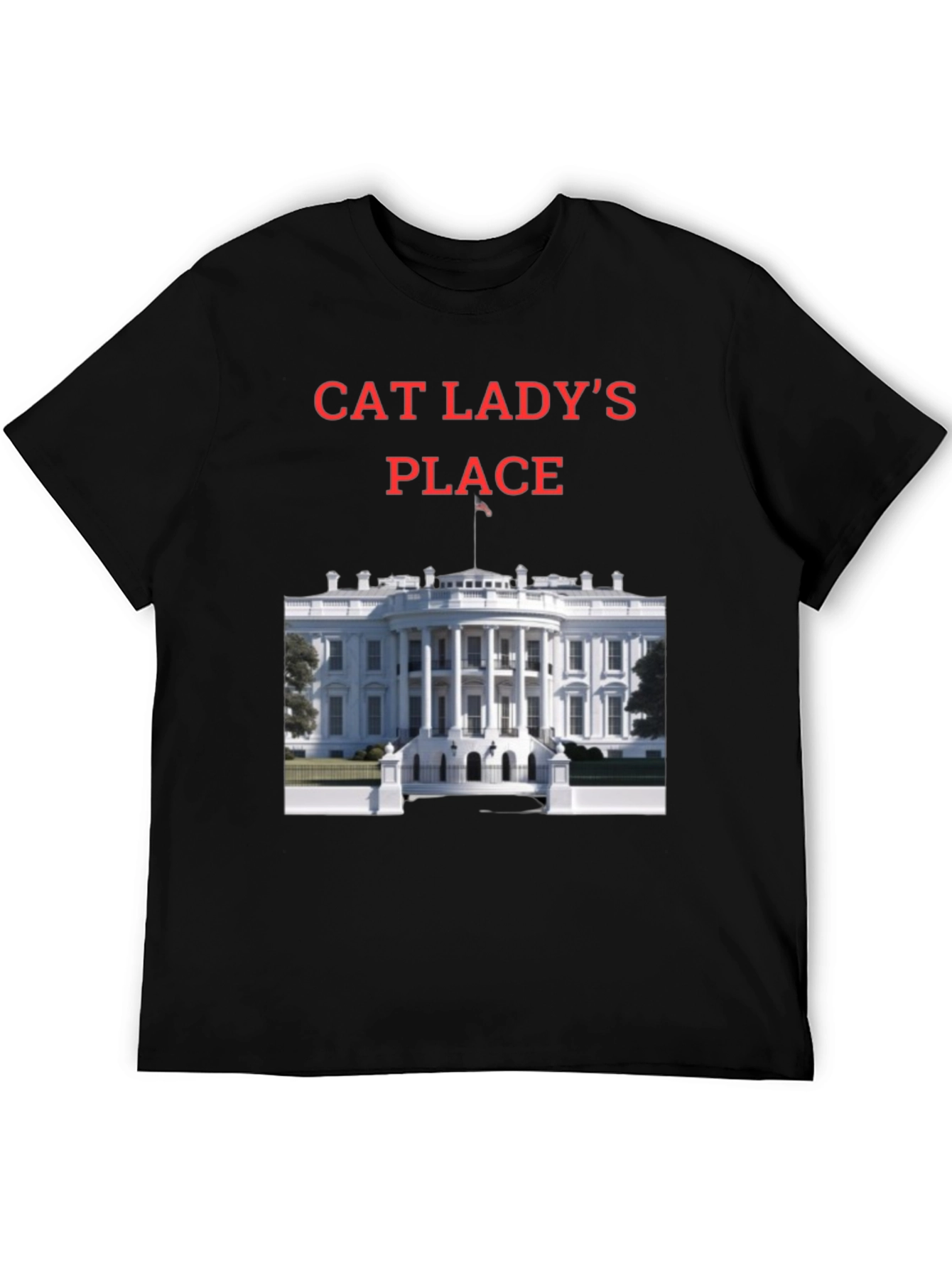 Black Cat Lady's Place T-Shirt - Novelty Tee view 5
