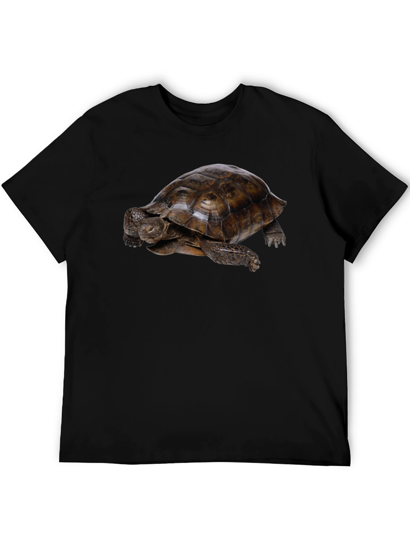 Black Tortoise Graphic Black T-Shirt view 5