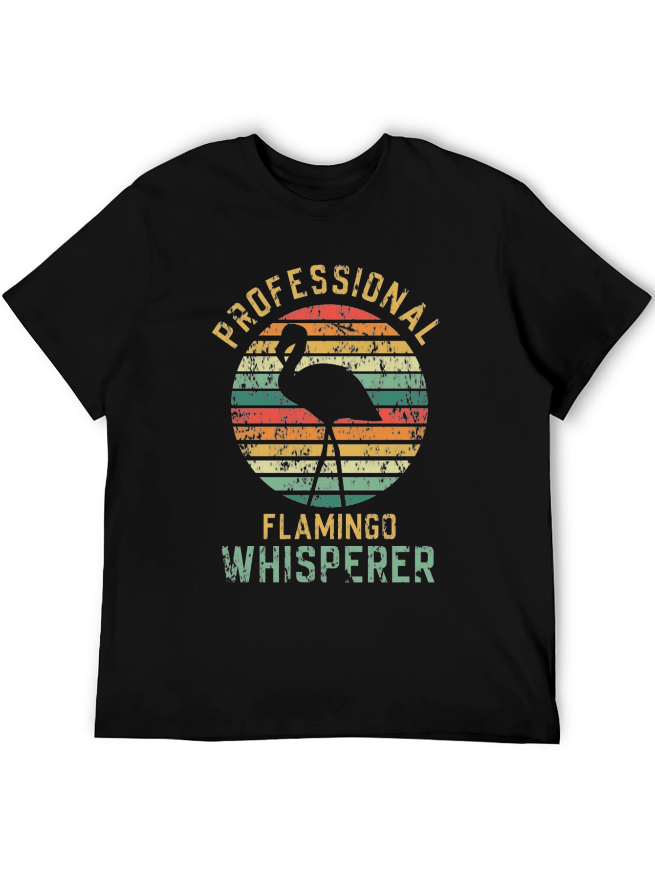 Black Professional Flamingo Whisperer Graphic T-Shirt view 5