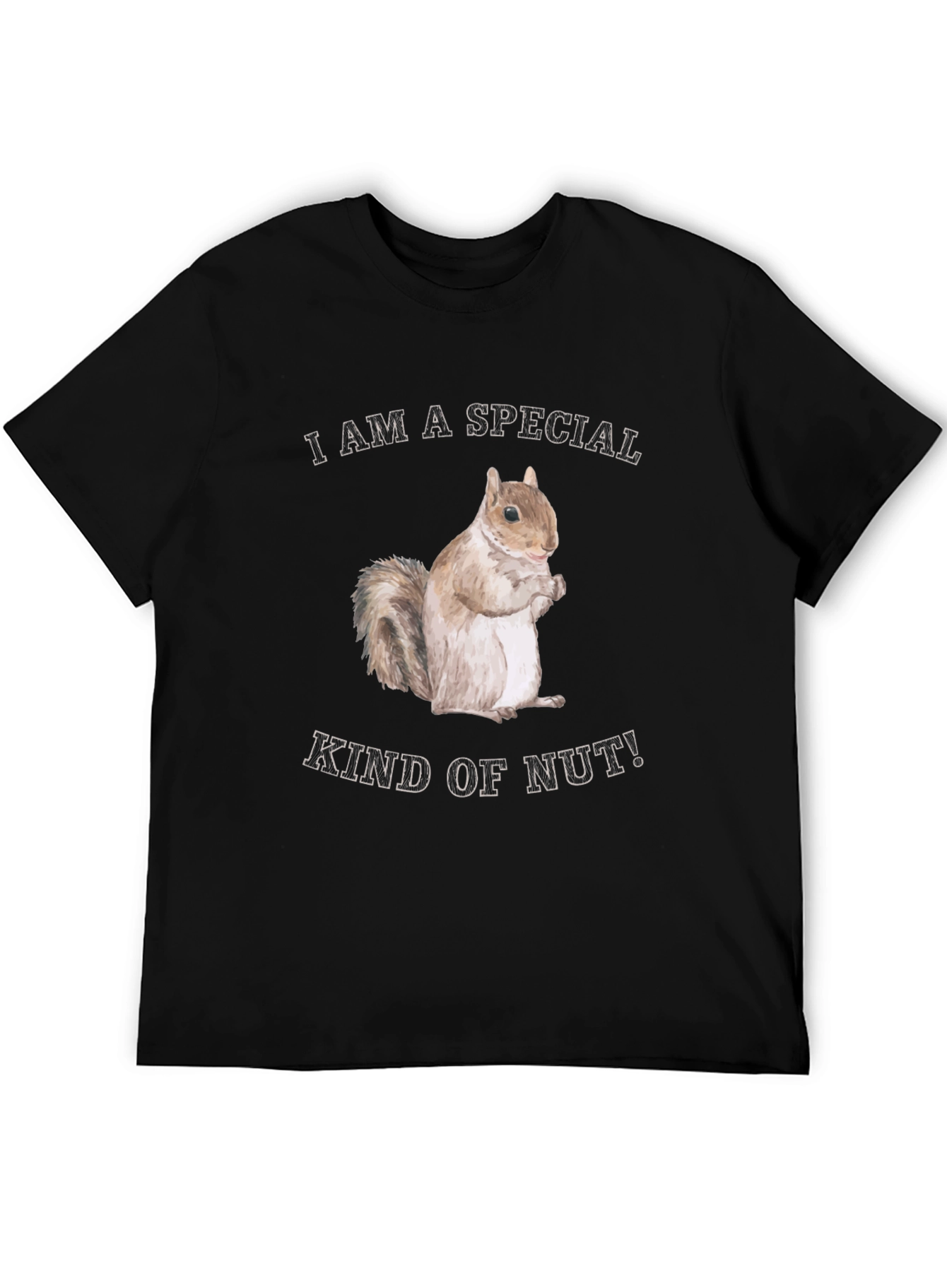 Black Funny Squirrel "Special Kind of Nut" Graphic T-Shirt view 5