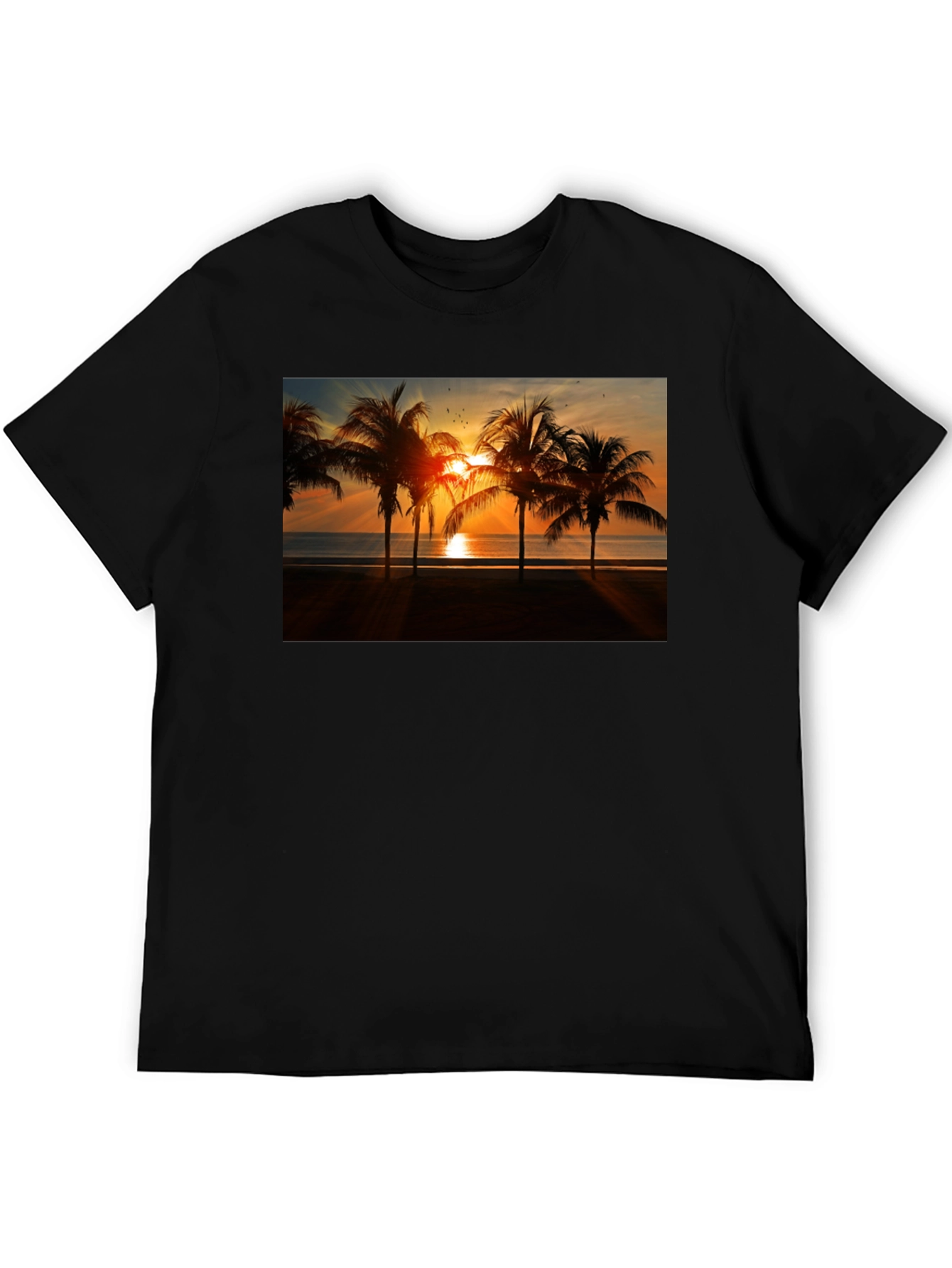 Black Sunset Palm Tree Graphic Tee view 5