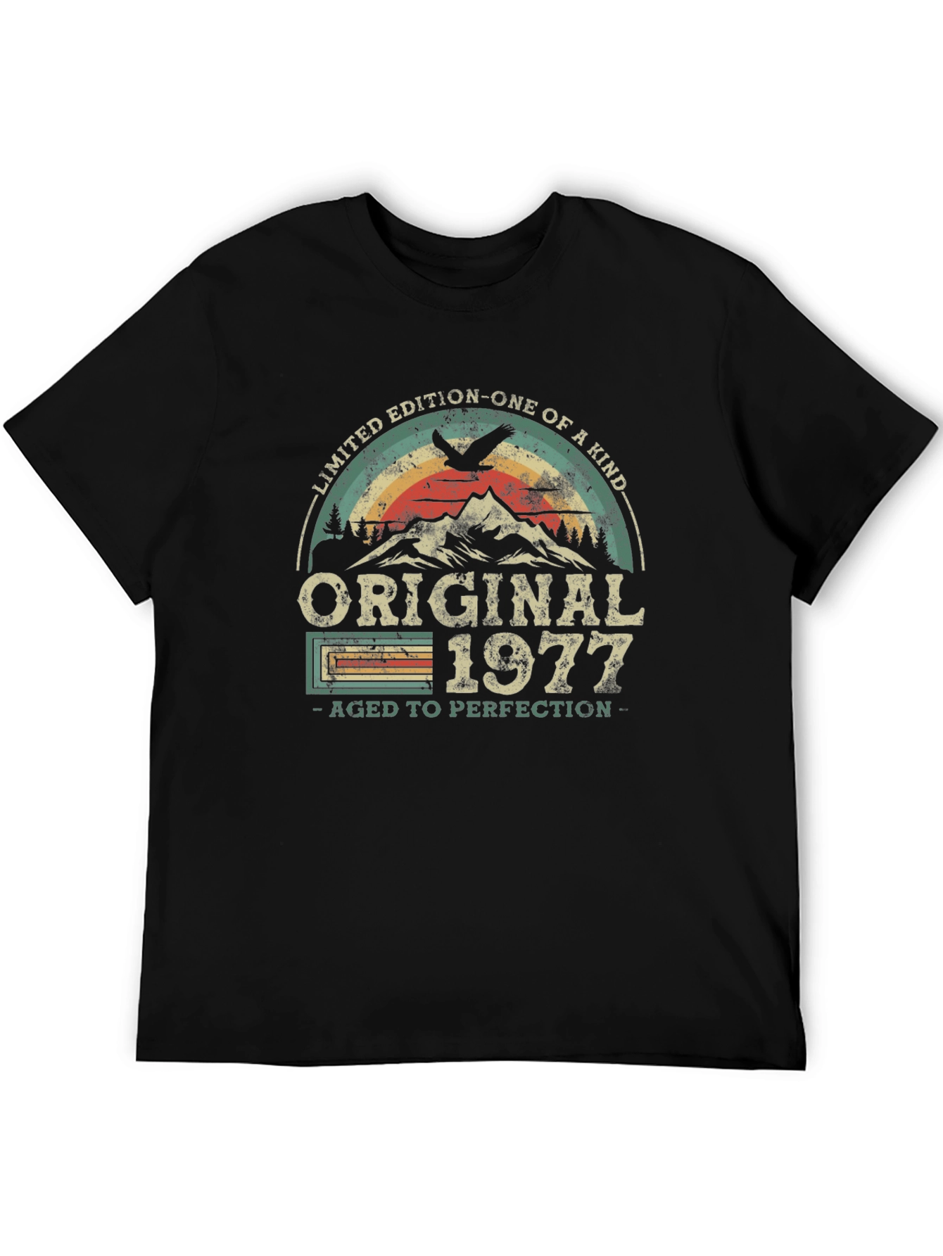 Black Original 1977 Aged to Perfection T-Shirt view 5