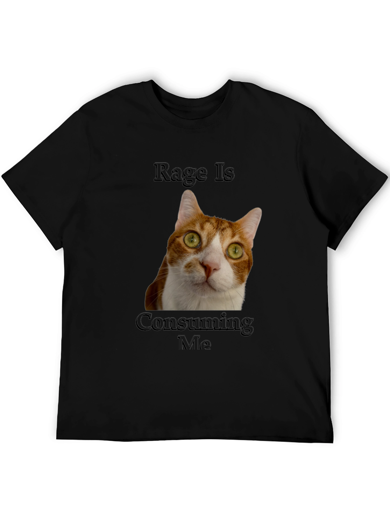 Black Rage Is Consuming Me Cat T-Shirt - Funny Graphic Tee view 5