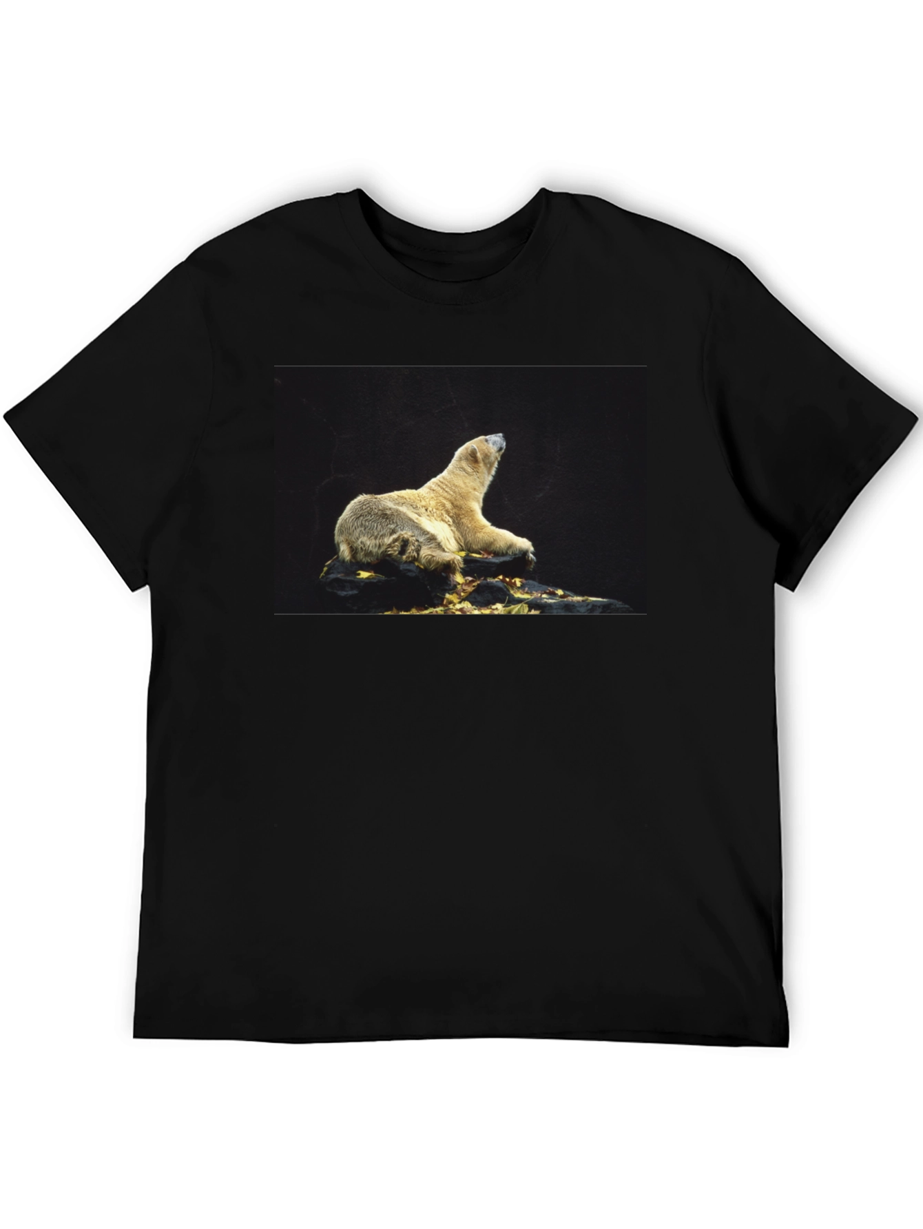 Black Polar Bear Graphic Black T-Shirt view 5