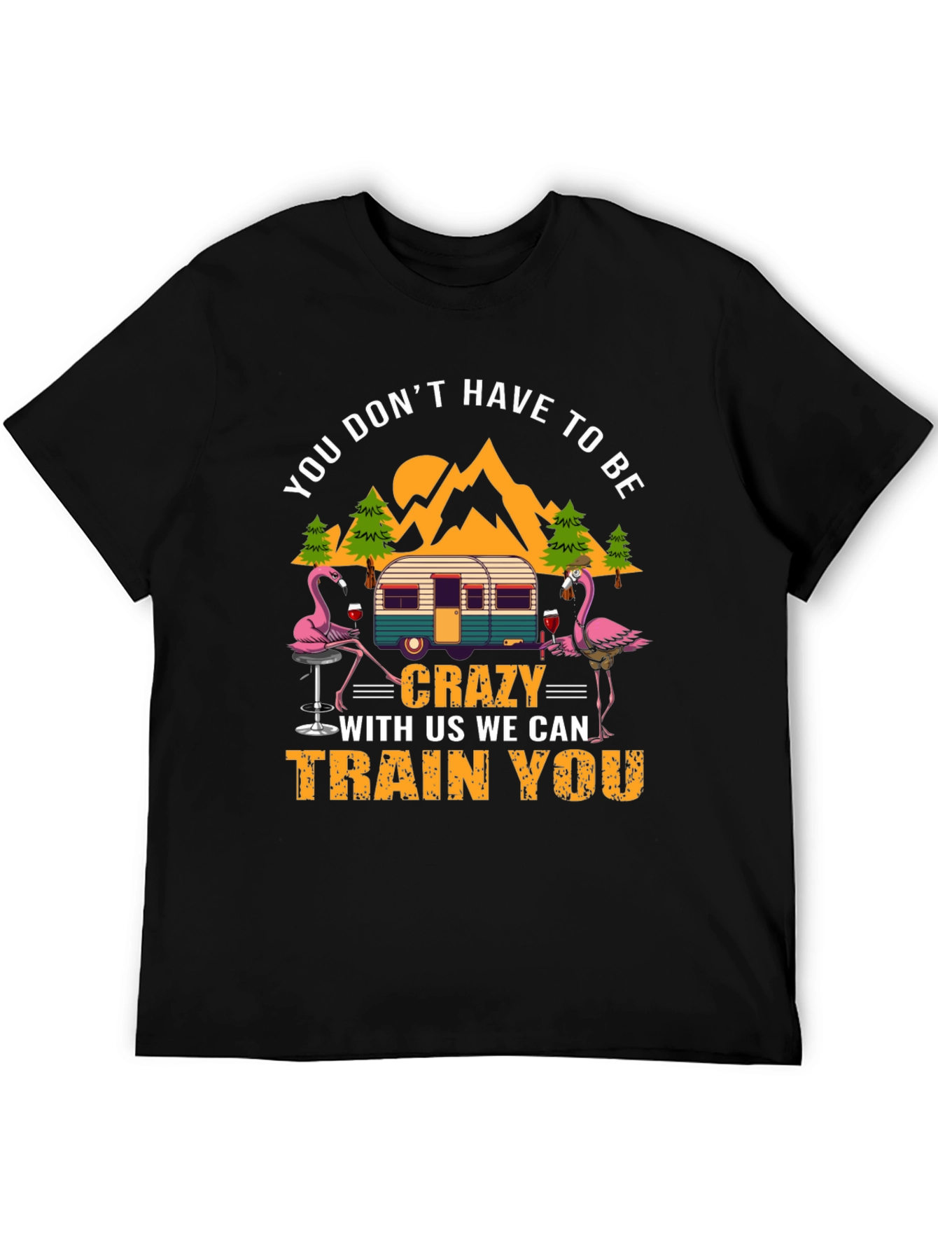 Black Flamingo Camper T-Shirt: You Don't Have to Be Crazy! view 5