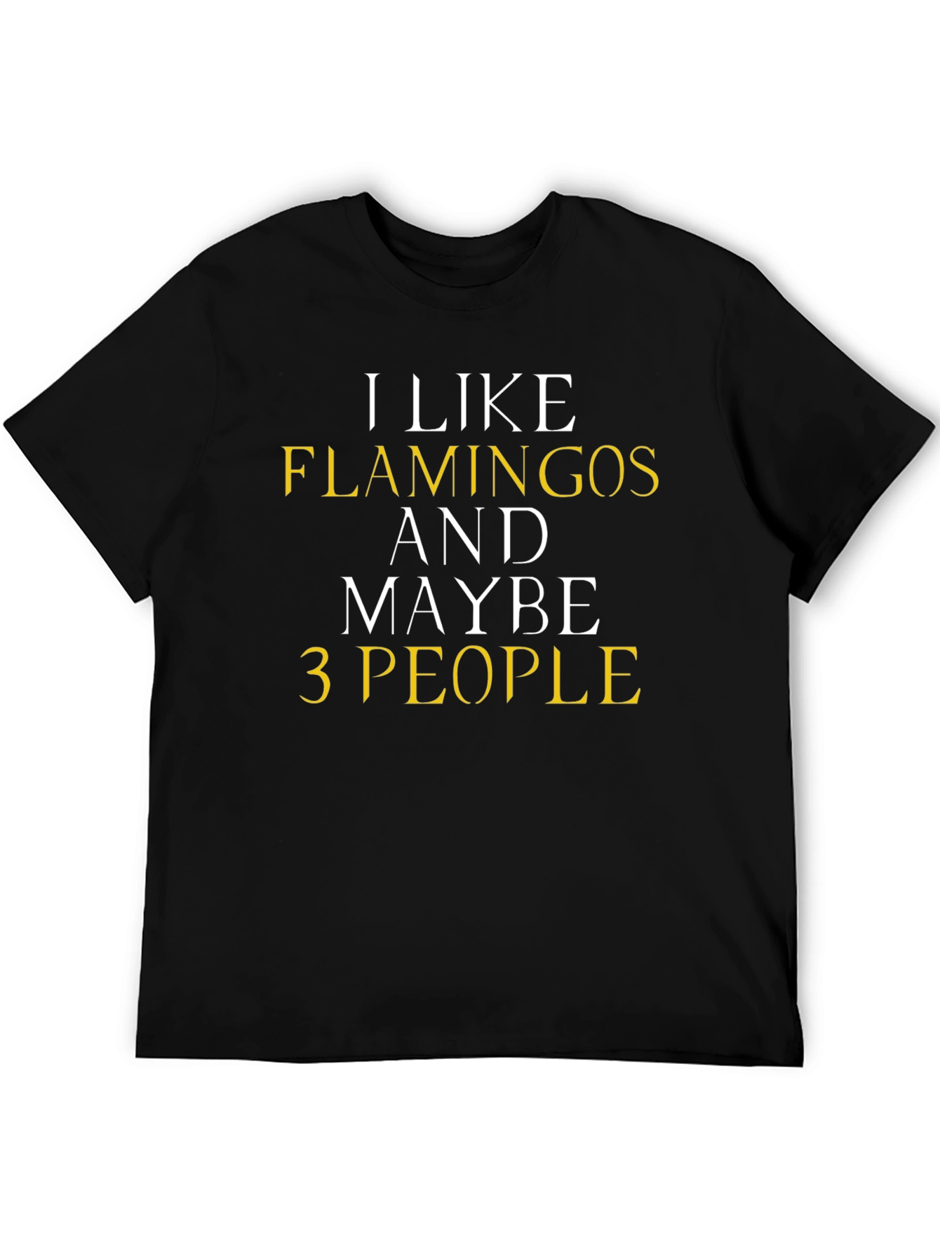 Black Funny Flamingo T-Shirt - I Like Flamingos & Maybe 3 People view 5