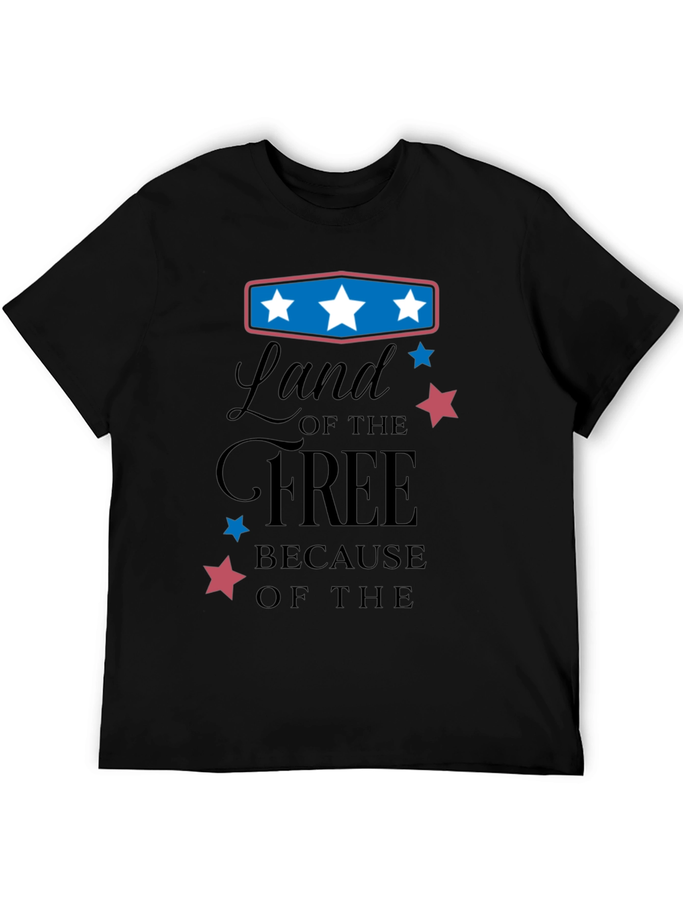 Black Land of the Free Graphic Tee view 5