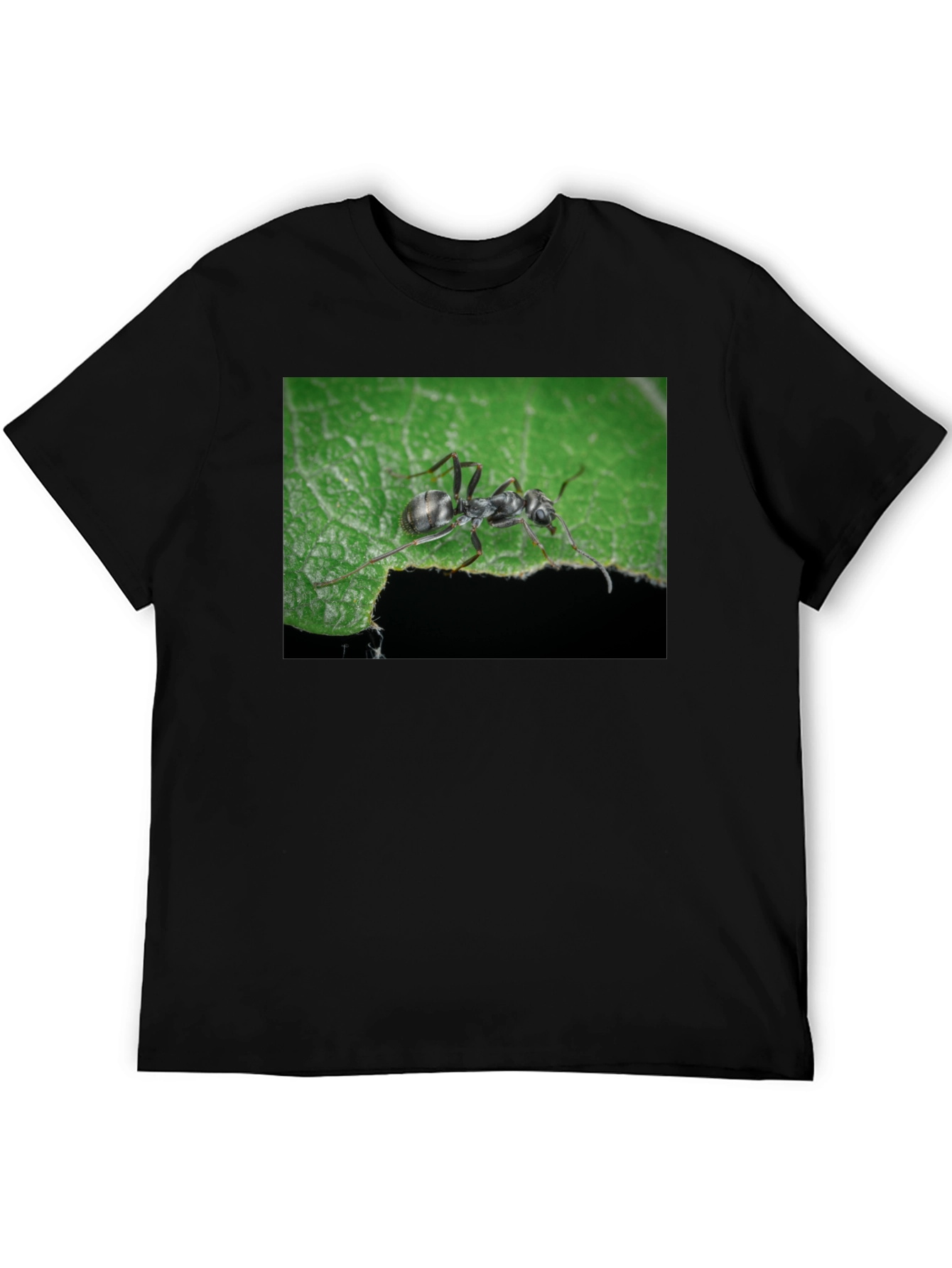 Black Ant on Leaf Graphic Tee - Nature Lover's T-Shirt view 5