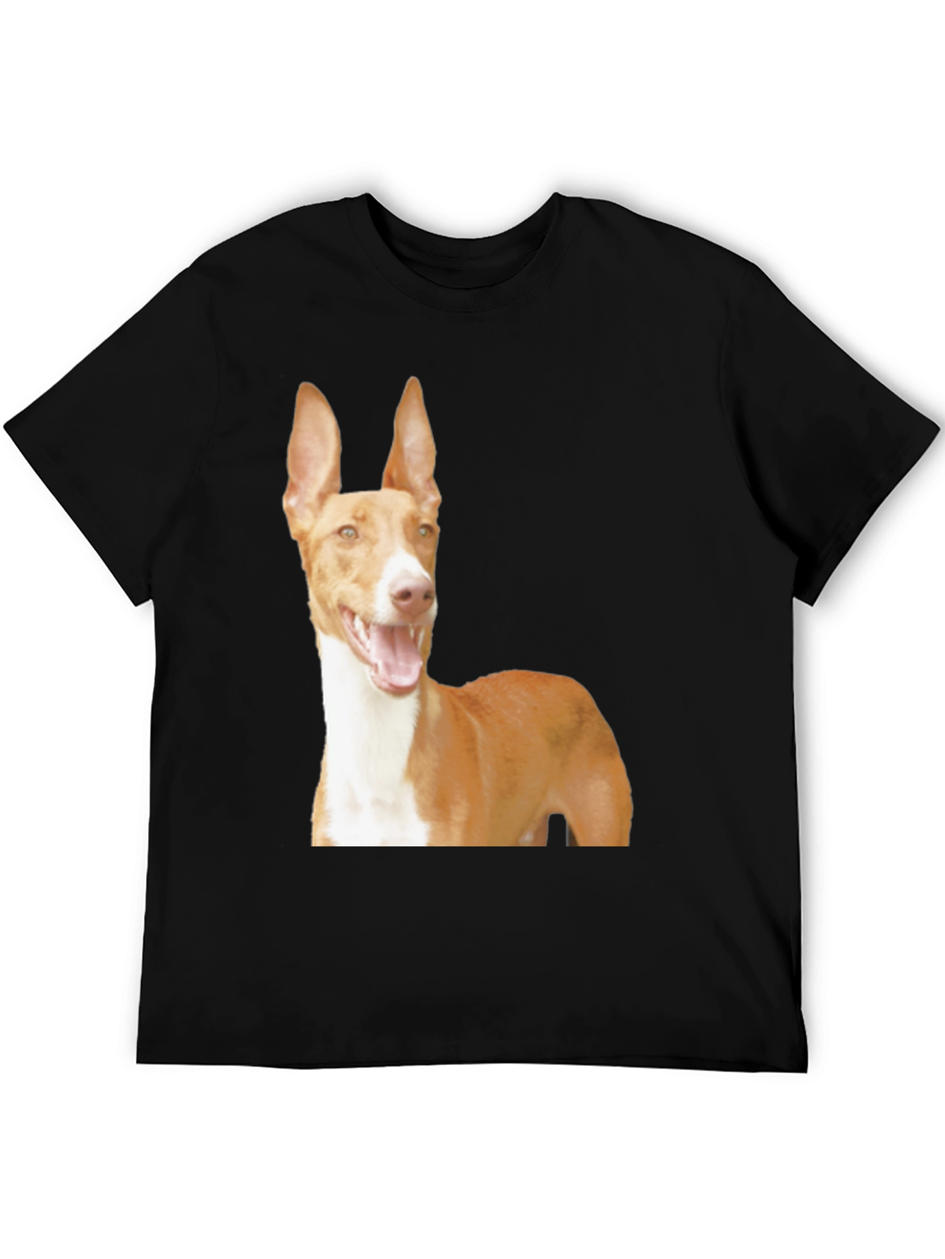 Black Dog Breed Graphic Tee - Ibizan Hound on Black Shirt view 5