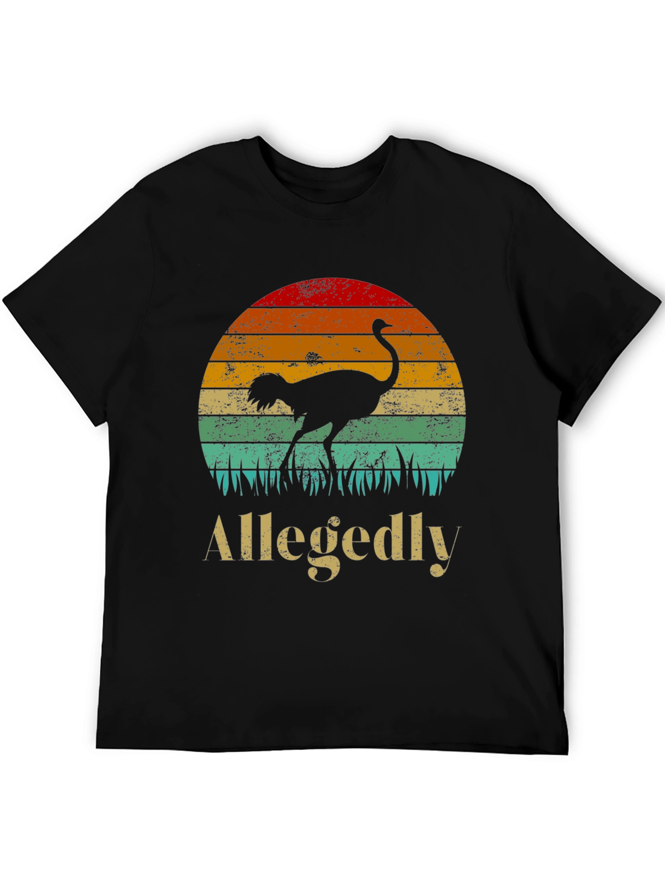 Black Allegedly Ostrich Sunset Graphic Tee view 5